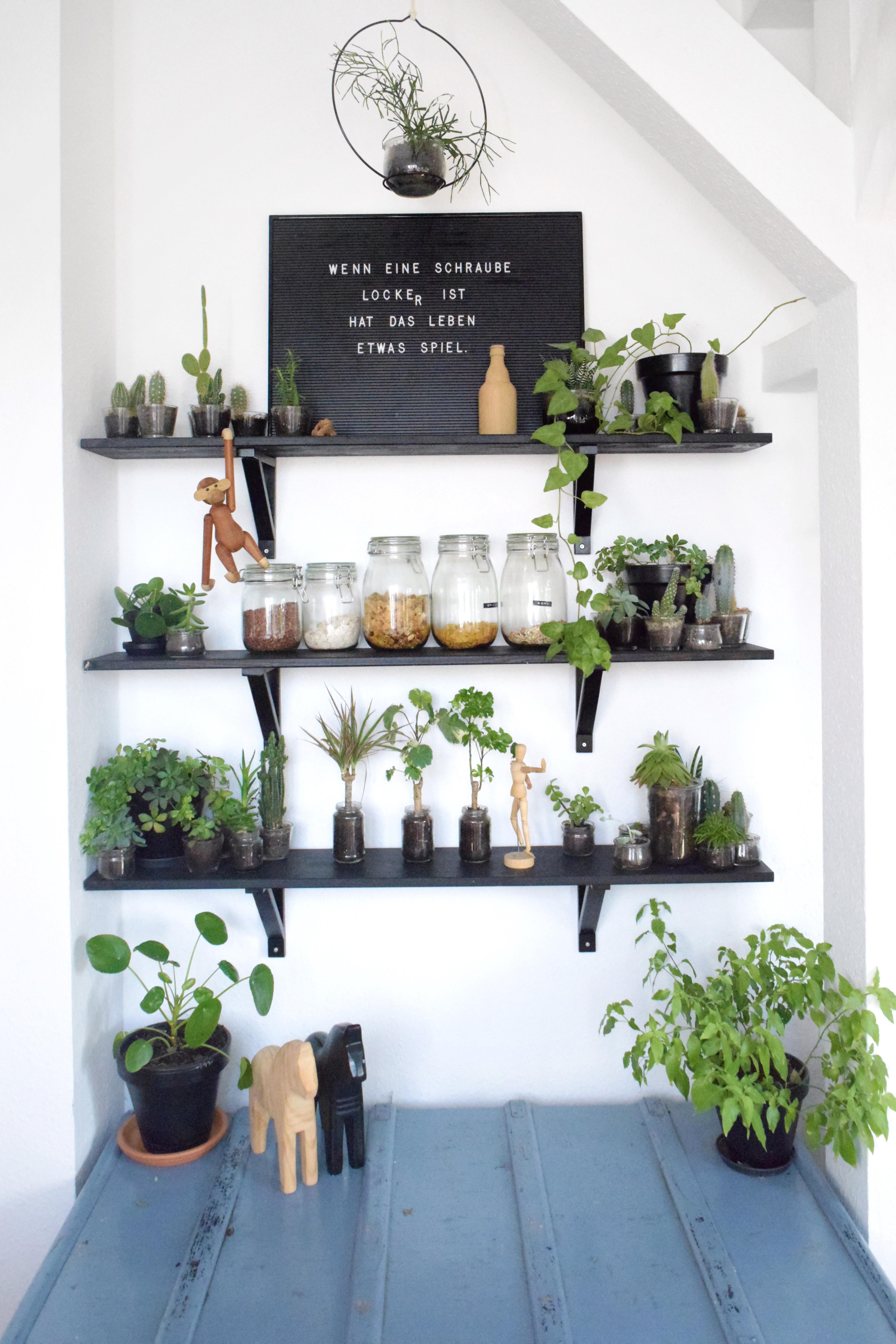 #shelf #pflanzen #wandregal #sukkulenten #kakteen #wandregal  