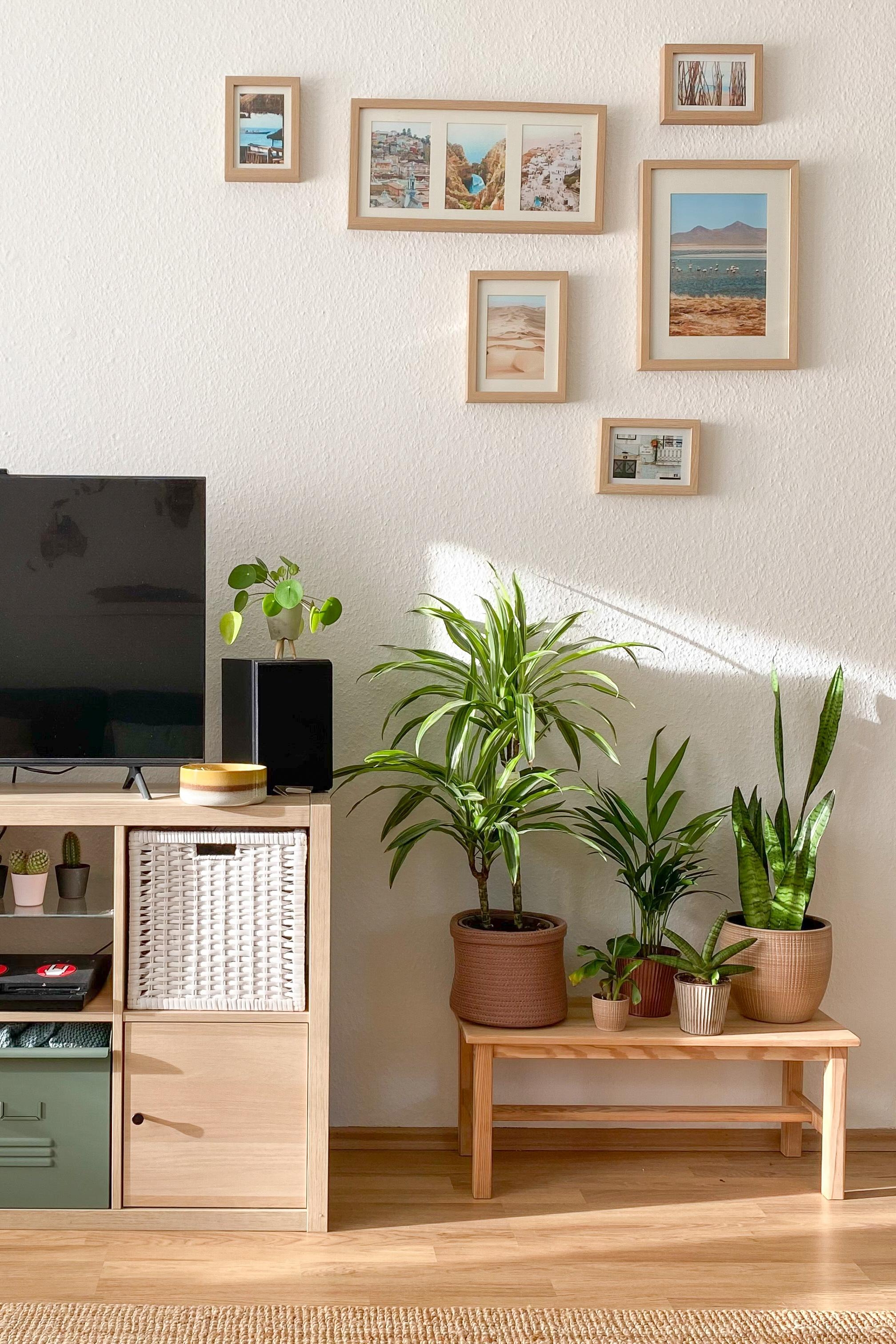 Sideboard & Plants 🪴 #wohnzimmer #pflanzenliebe #interior #einrichtung #skandi #pastelltöne #hygge #skandinavisch 
