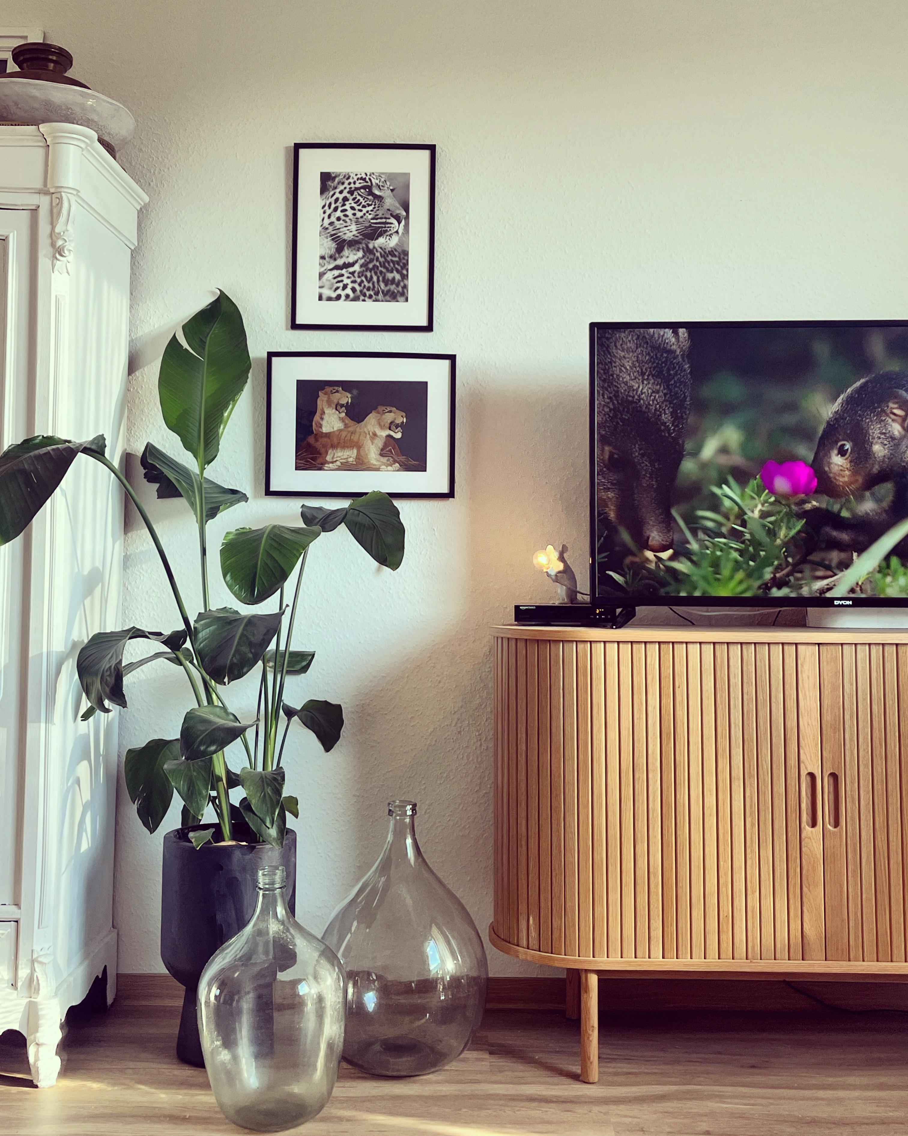 Sideboard mit TV 
#tvboard #sideboars #zimmerpflanzen #art #leo #vasenliebe 