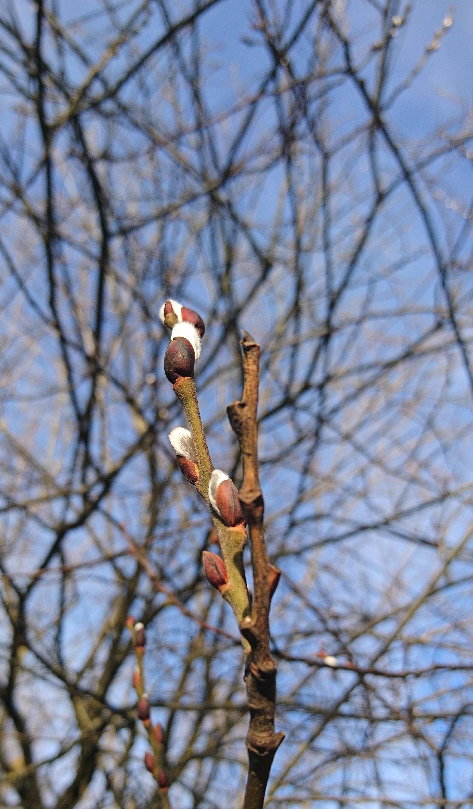 Signs of spring 🌱

#Frühlingsgefühle 