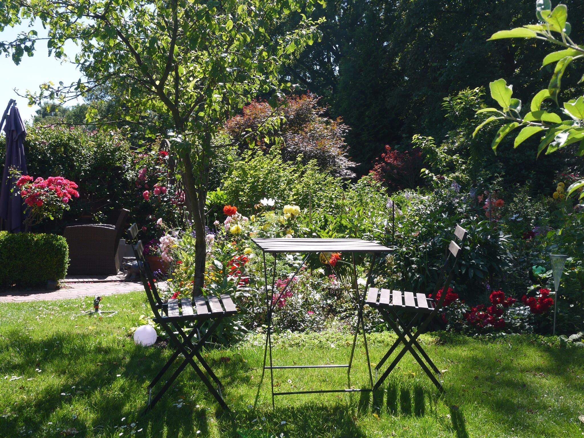 #sitzgelegenheitgarten #sitzeckegarten #garten #terrassenpflanze #mediterraneterrasse