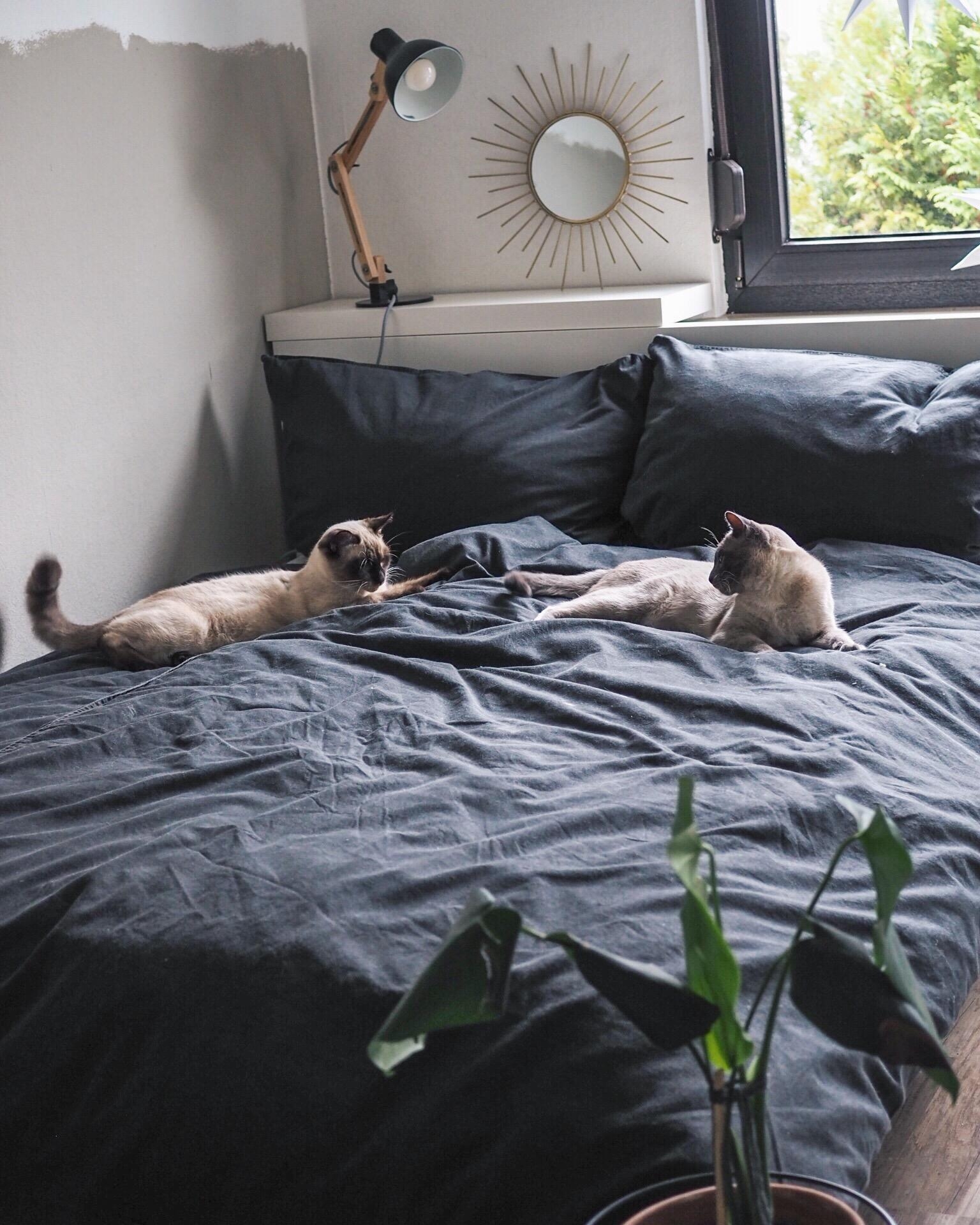 #skandistyle #couchliebt #bedroom #meowdels #myhome