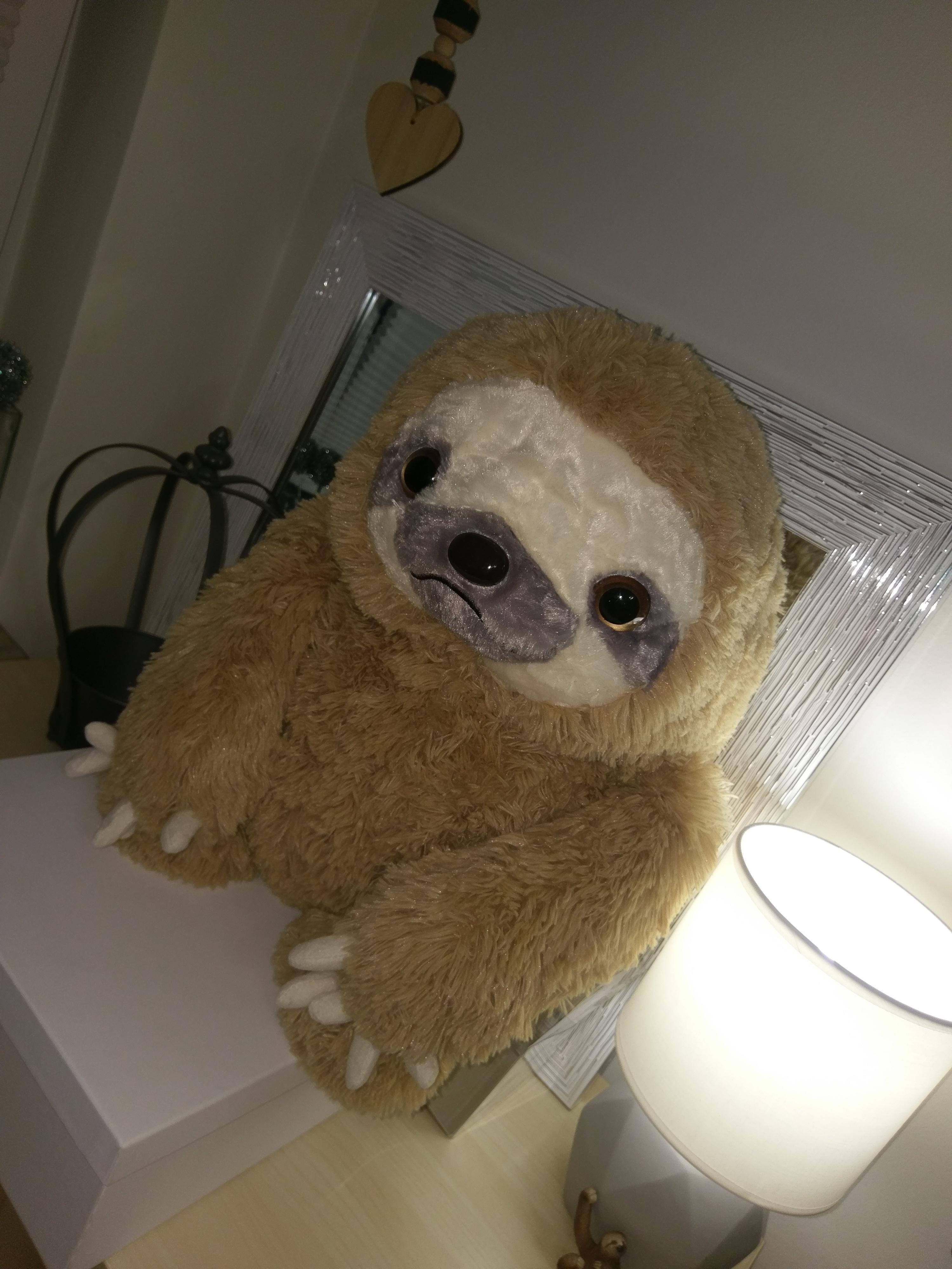 Sloth is waiting for you...
#livingchallenge#kinderzimmer