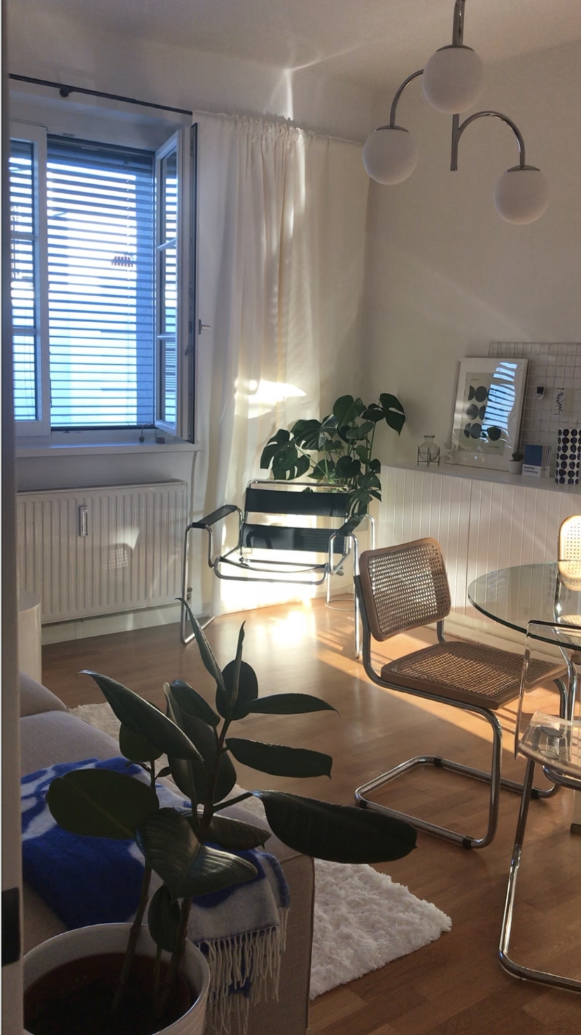 small apartment ✨
#designer #chair #plants #elegant #livingroom #inspiration #wienergeflecht 