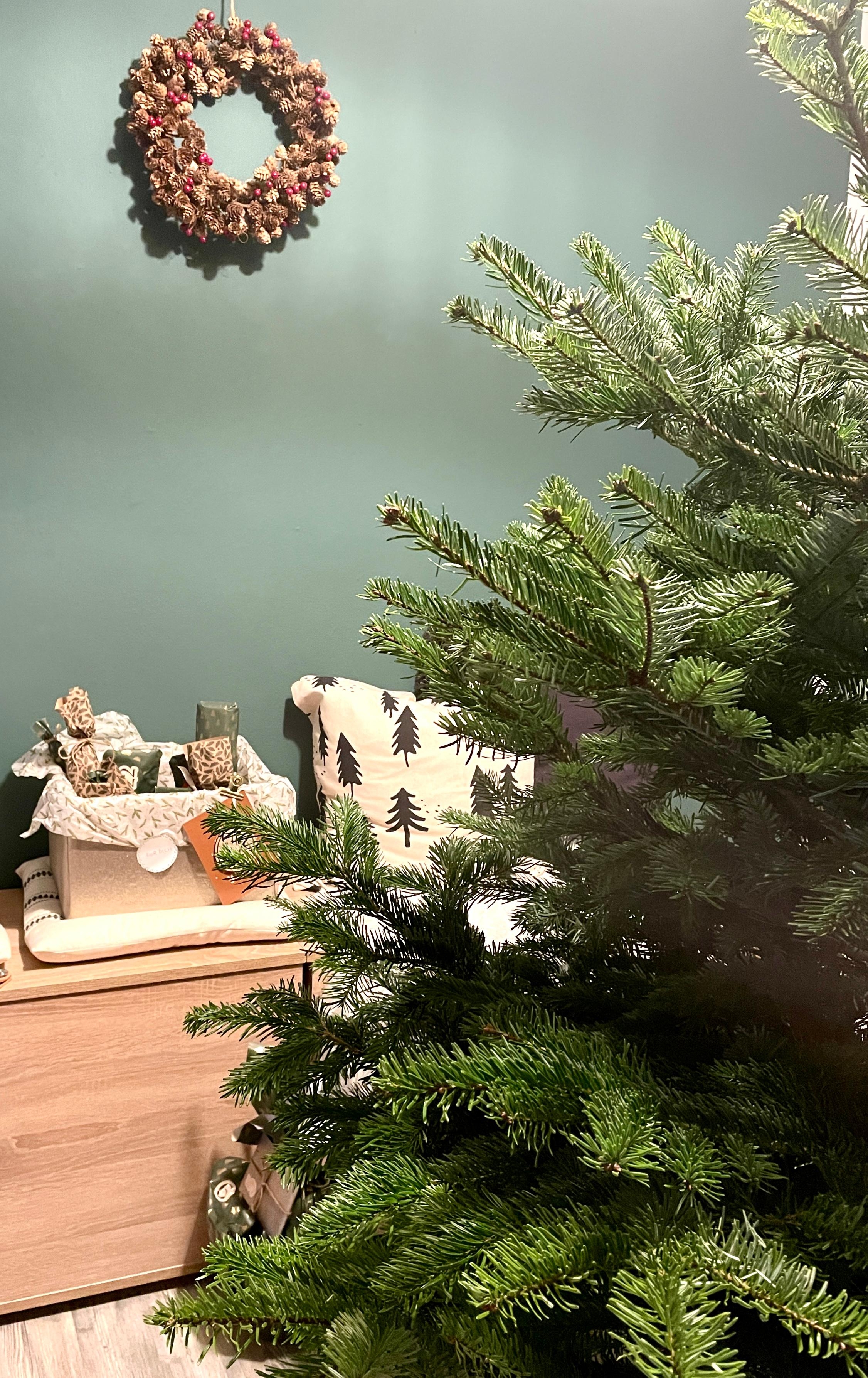 Sneak Peak.... der Baum steht... Schmuck folgt🎄😍
#mostwonderfultime#xmas#couchstyle#couchmagazin#weihnachtszeit#interior