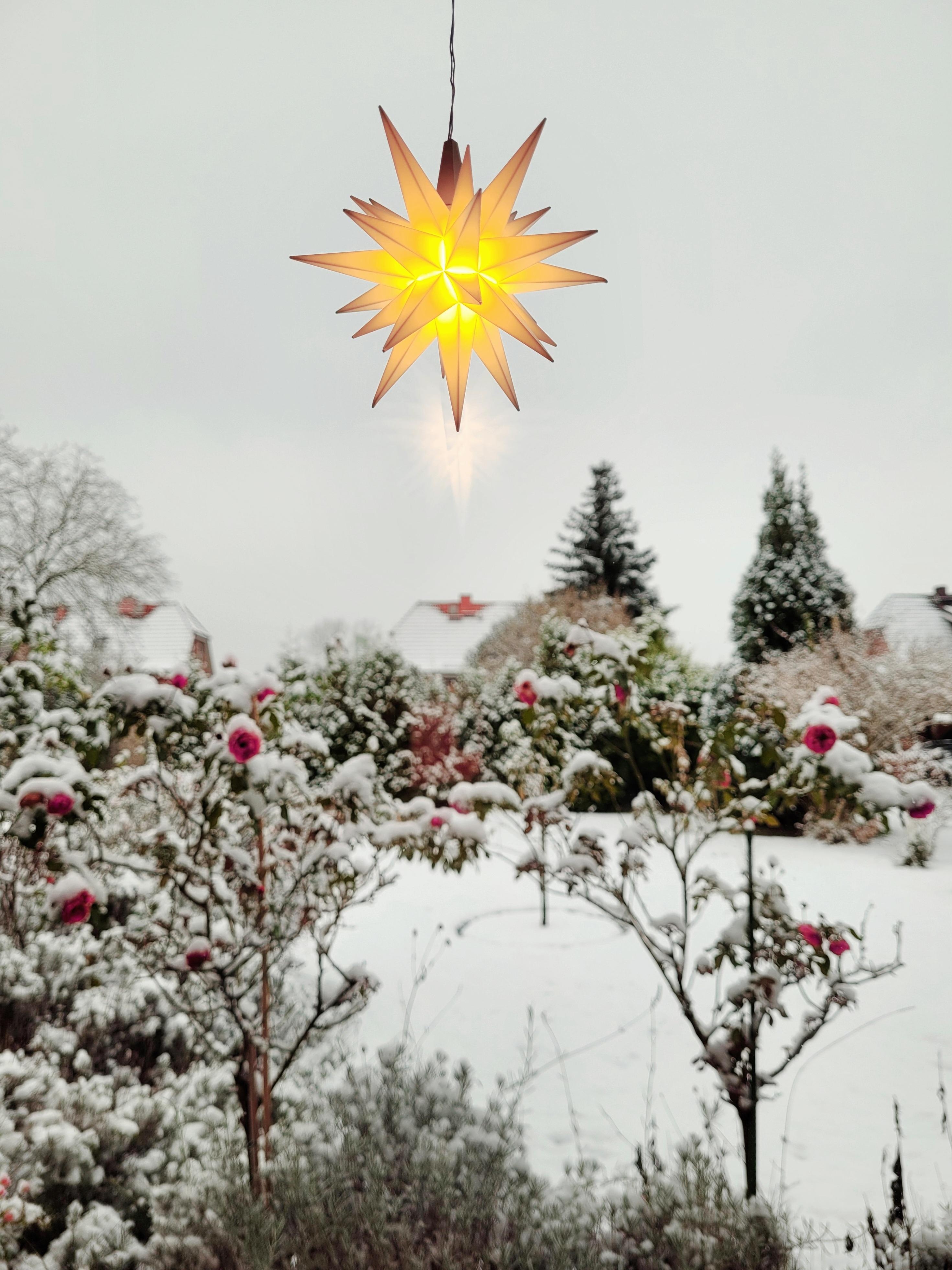 snowy garden
#Herrenhuterstern #Stern #Garten #Winter #Weihnachten