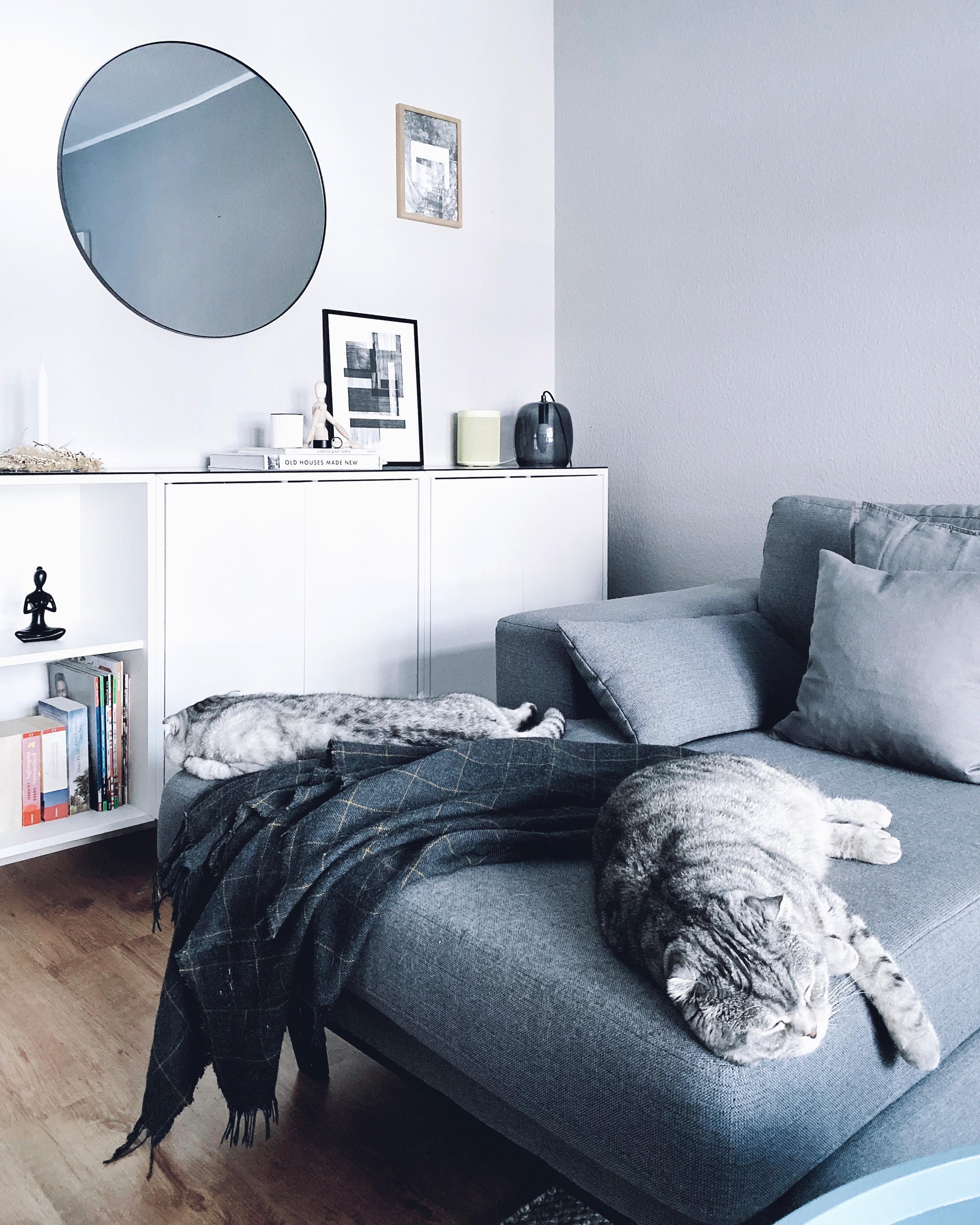 So ein Katzenleben muss man haben 😊
#interior #nordicroom #nordichome #scandistyle #scandinavianliving #cozyplace