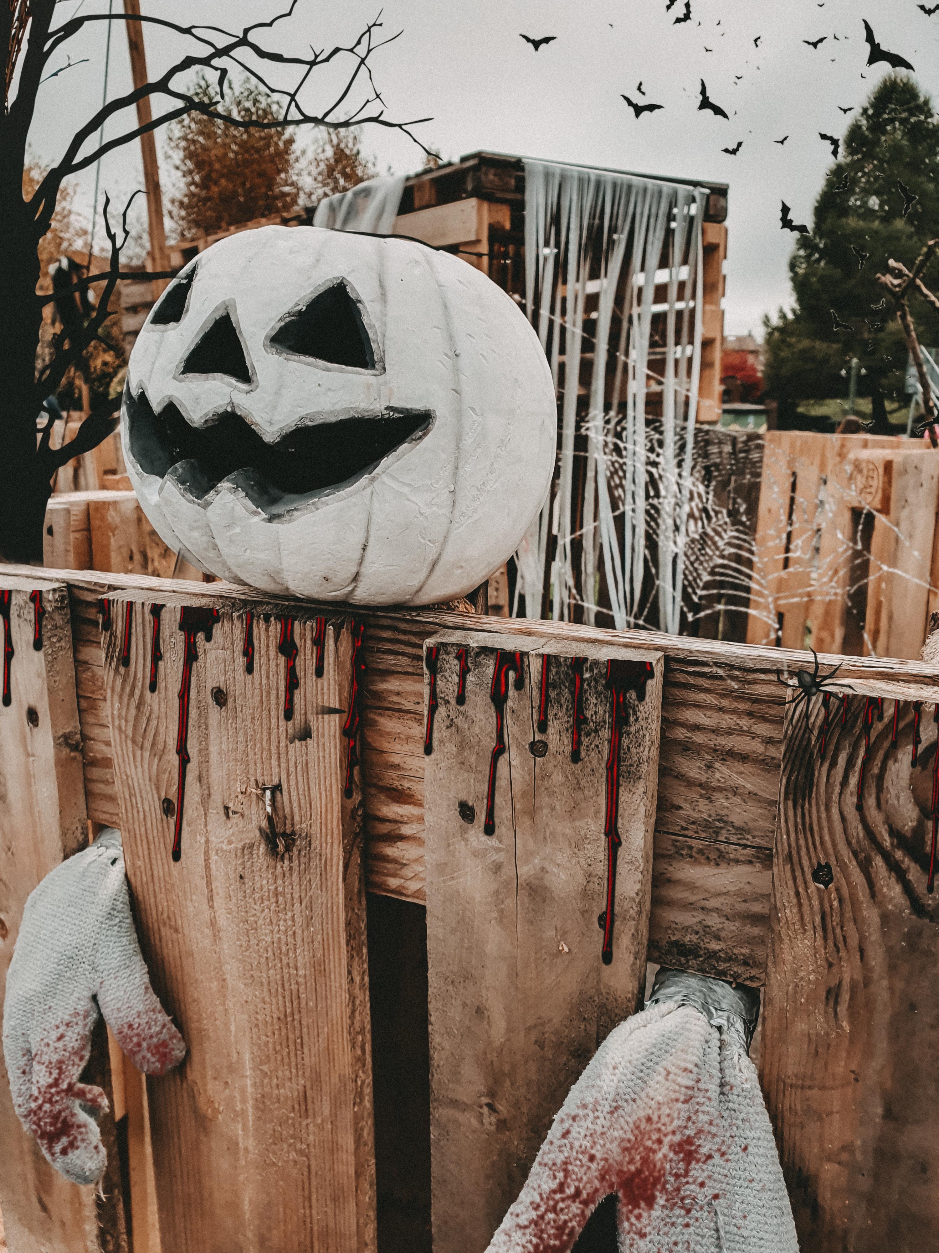 So einfach kann Halloweendeko sein 👻
#diy #halloween #halloweendeko #couchstyle