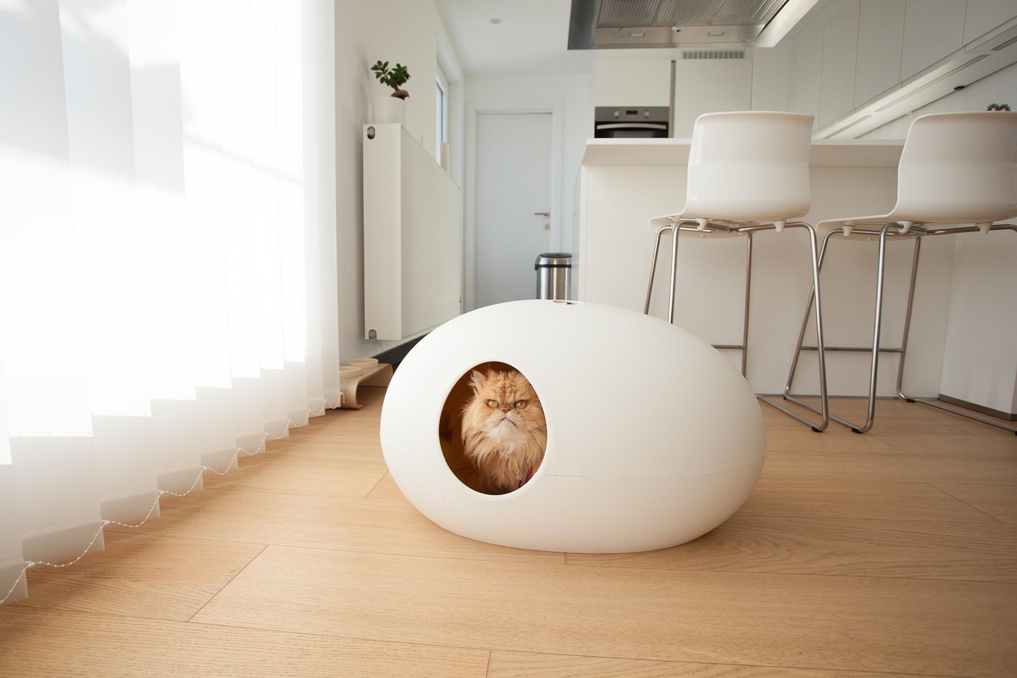 So gut kann eine Katzentoilette aussehen!
#poopoopeede #katzenklo #design