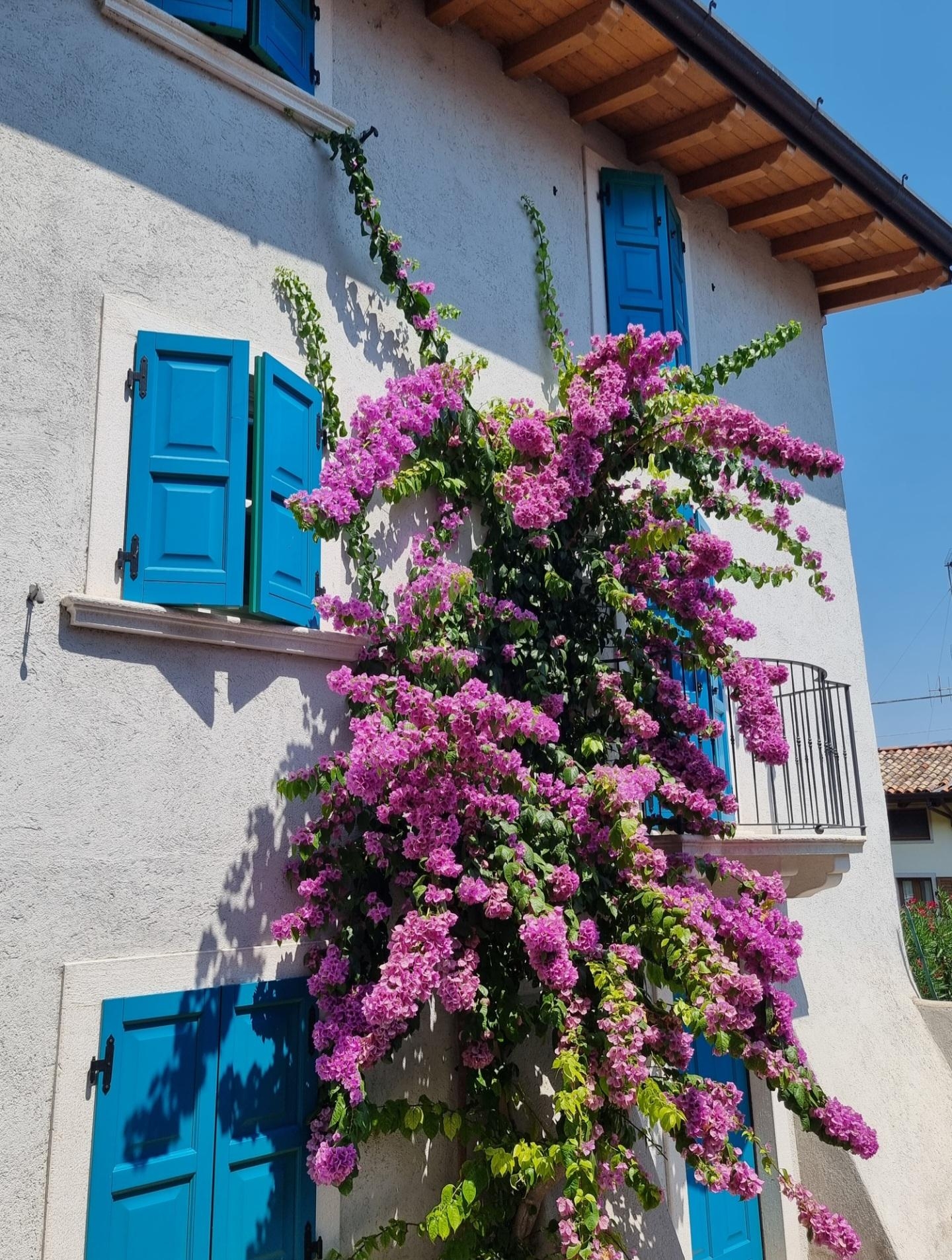 So könnte ich auch wohl wohnen😇 #Gardasee #Italien #oldhouse #altbau #colorfulhome #Frühling #freshflowerfriday #Blumen