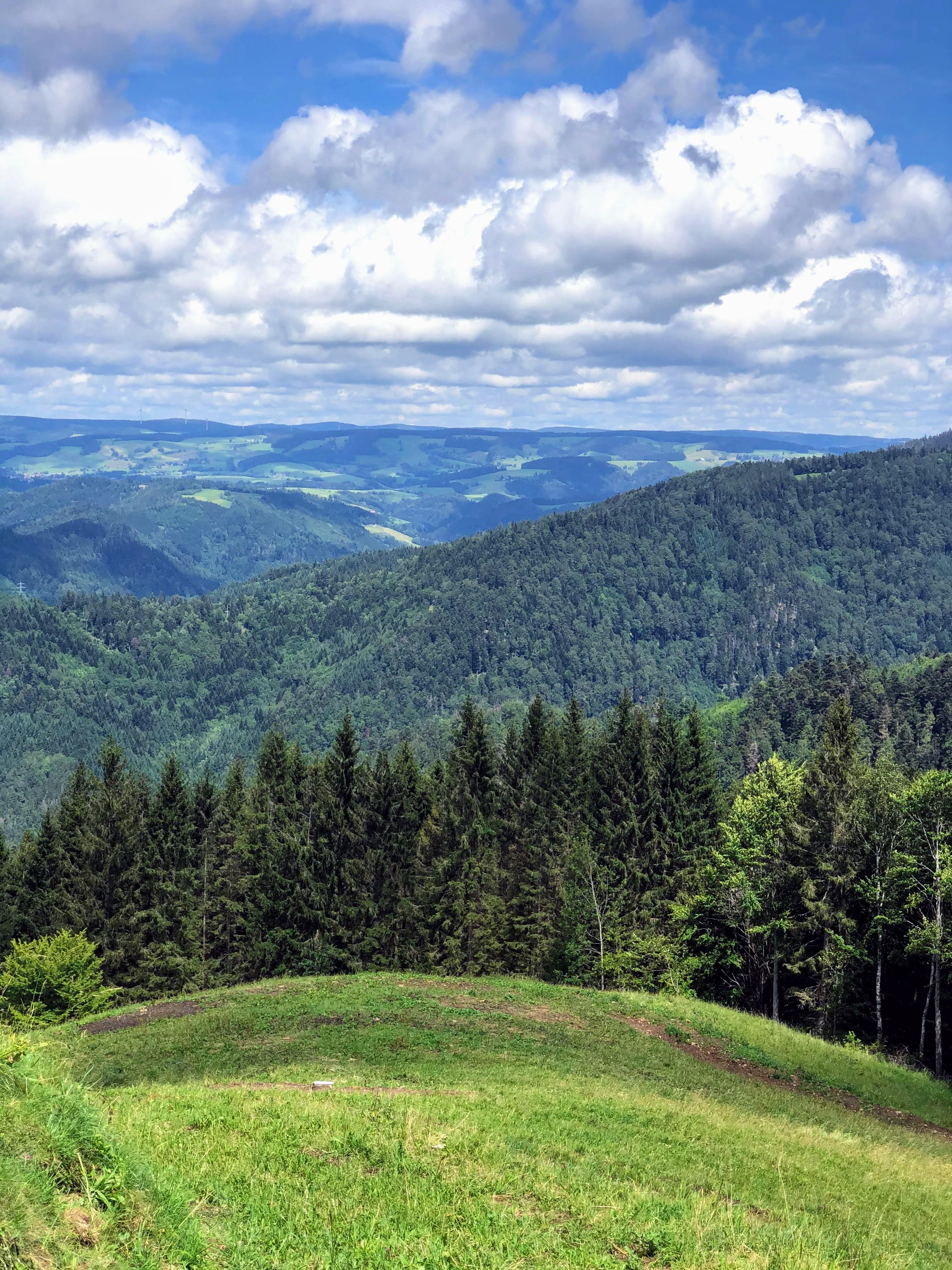 So schön ist der Schwarzwald #natur #schwarzwald #ausblick #travelchallenge