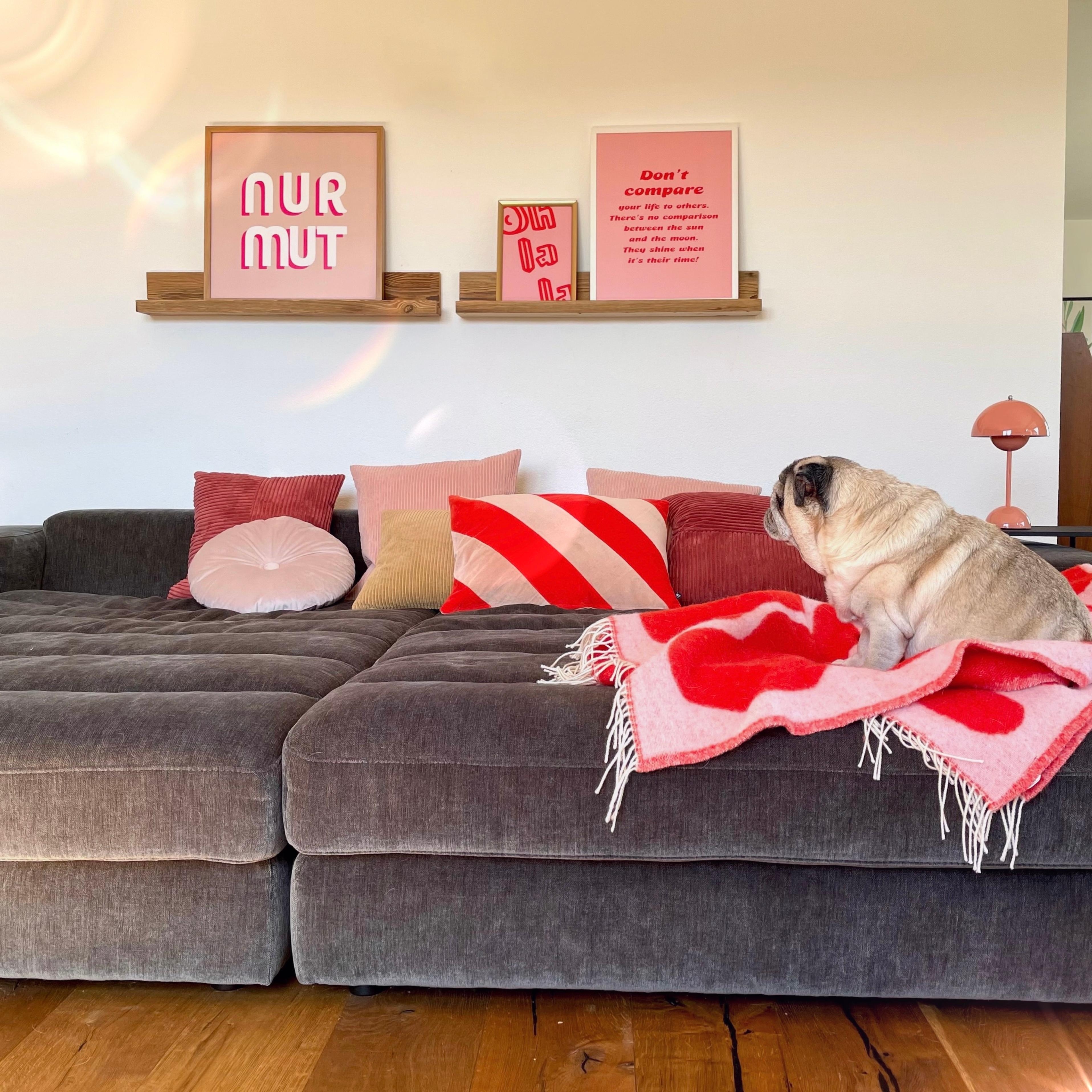 #sofa #couch #puglove #mops #wohnen 