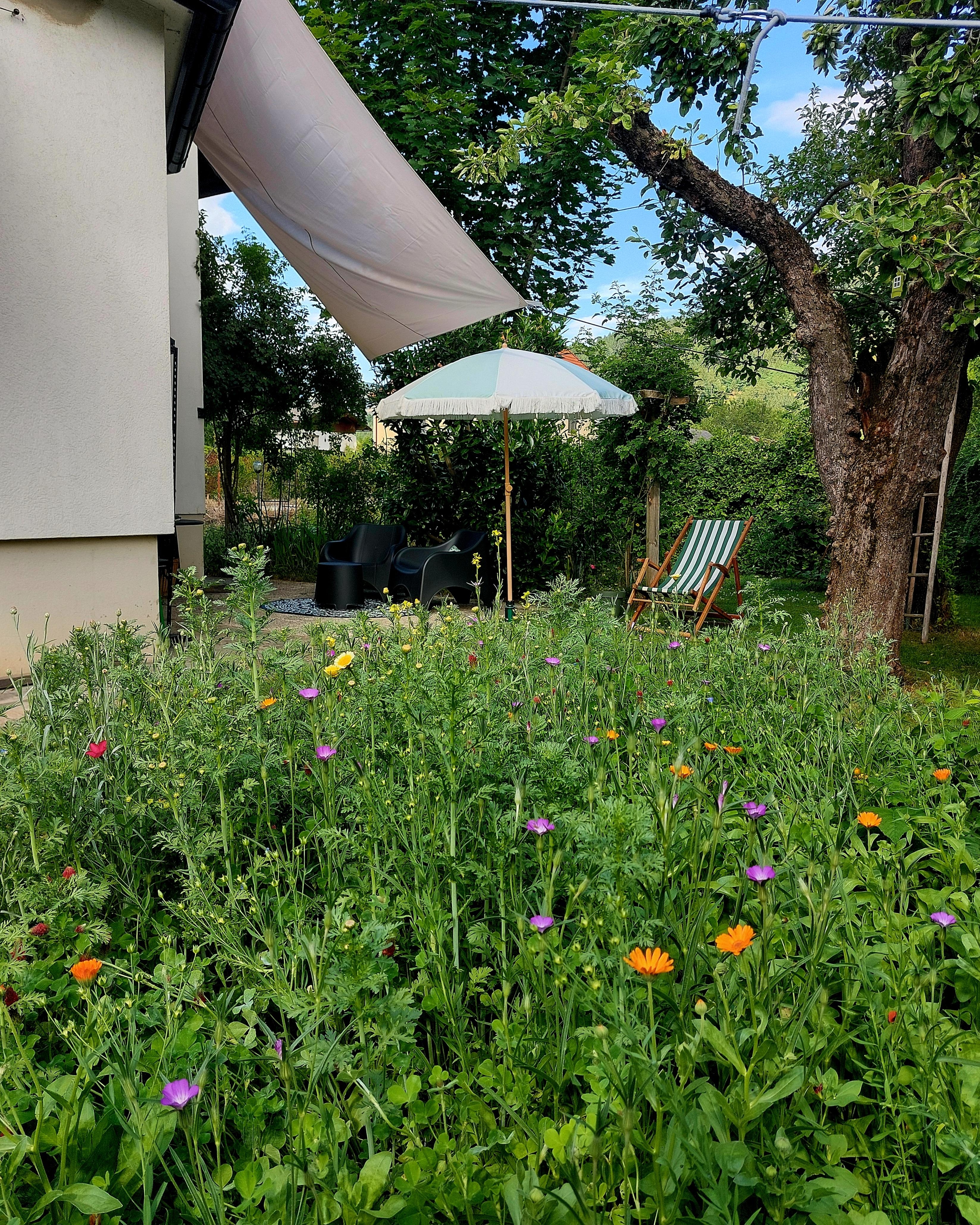 #SoLebIch
#Garten
#Bienenwiese
#Sonnenplätzchen
#Obstbäume
#Unser Haus
#Altbauliebe
🌳🐝🐛🦋🪲🐞🐌🪻🌻🌼🌸