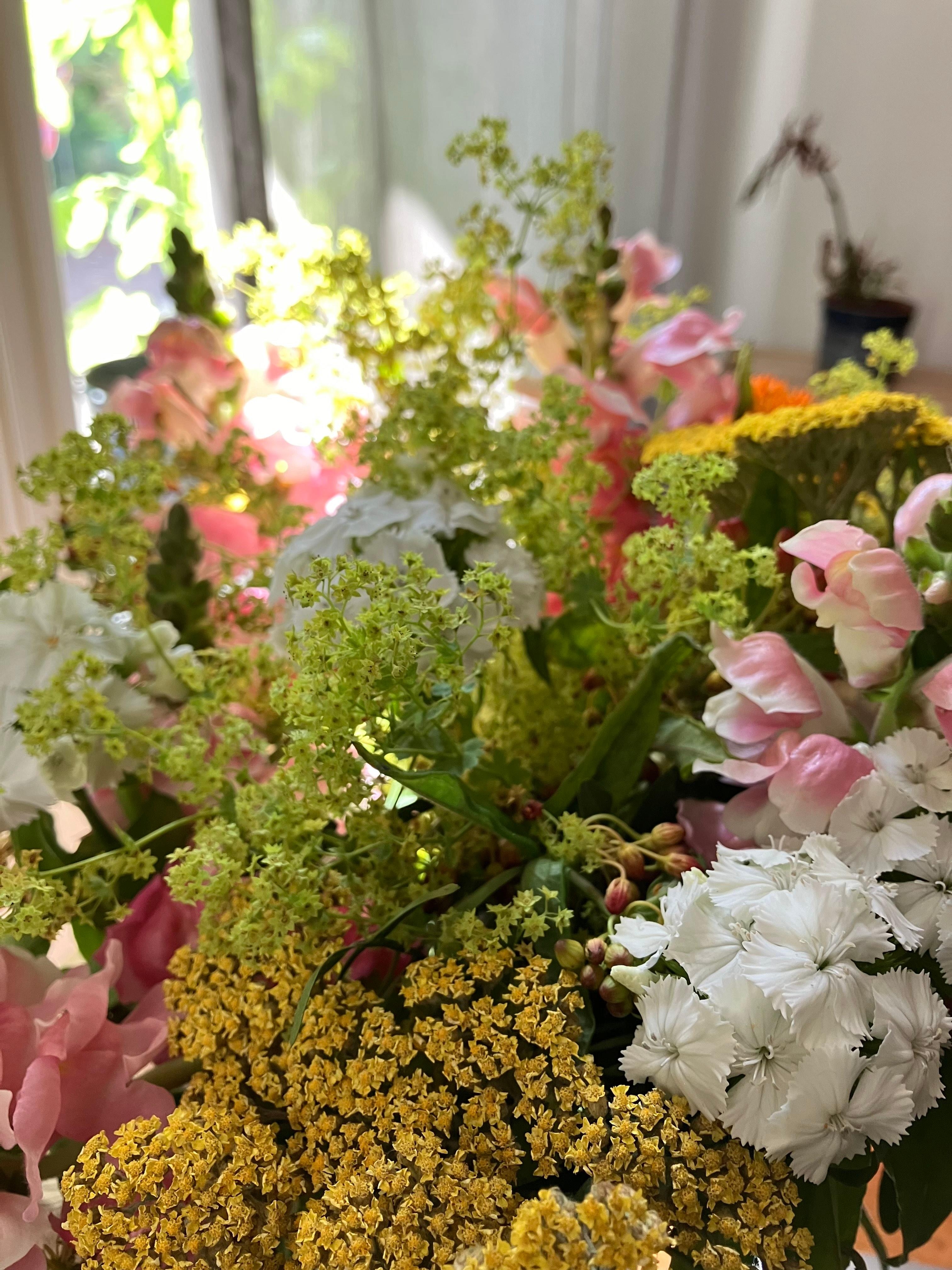 #sommer #blumen