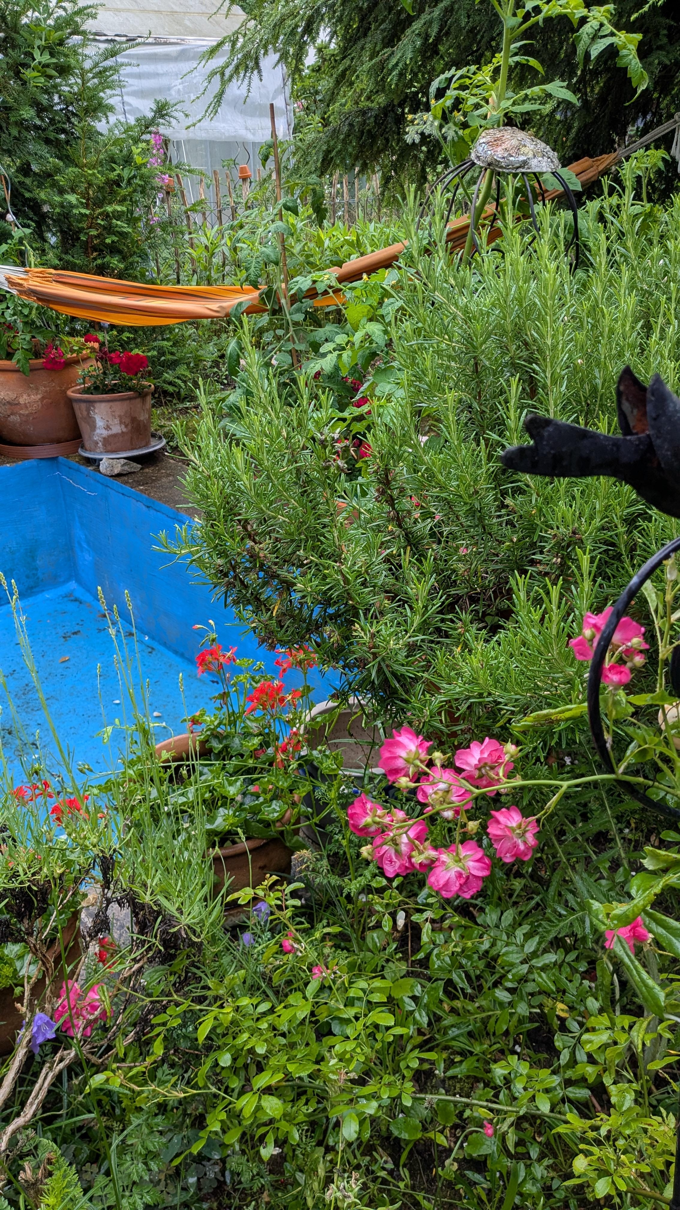 Sommer im Garten 
