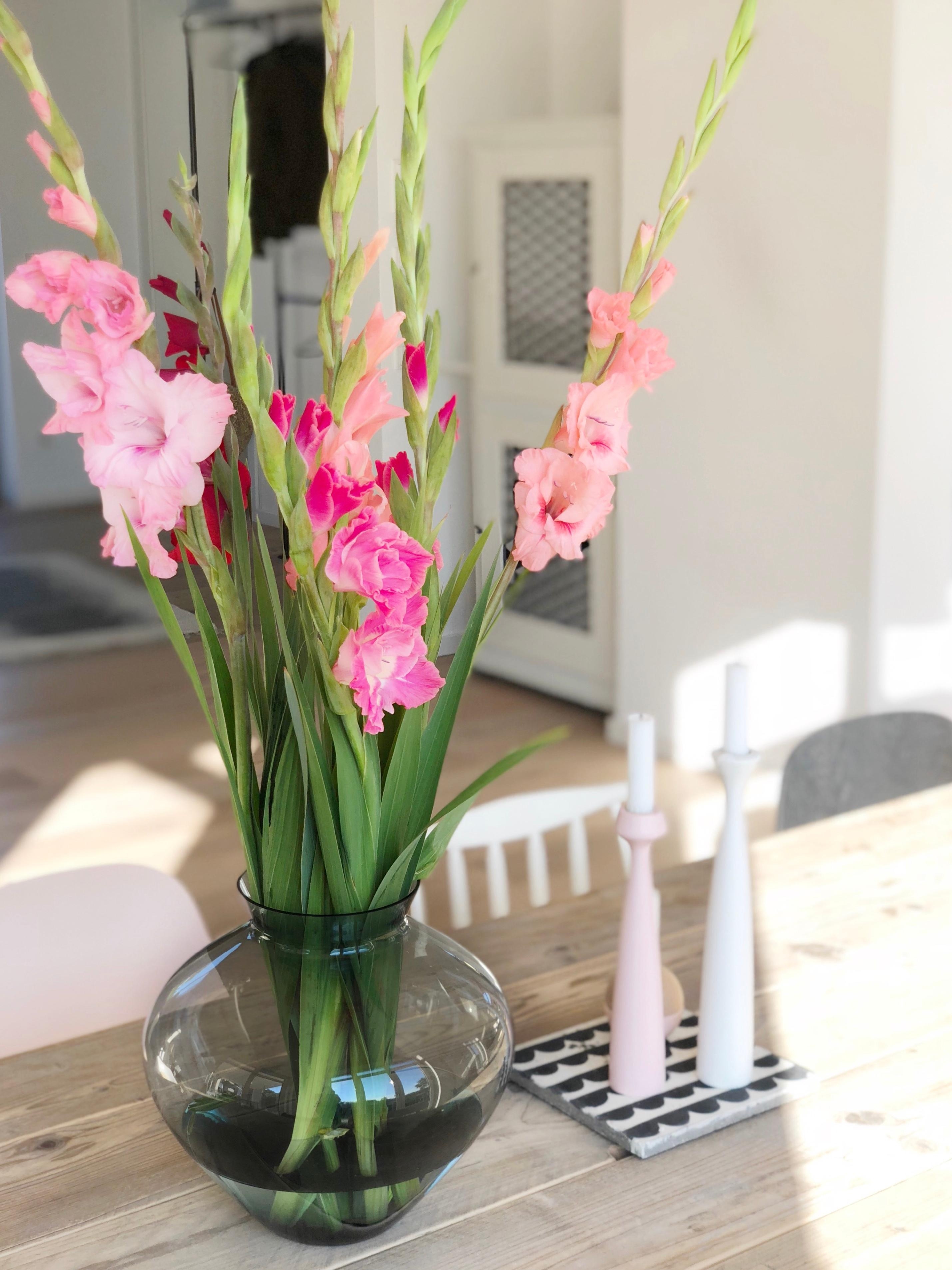 Sommer in der Vase
#summer#vase#gladiolen#whitehome#interiorlover