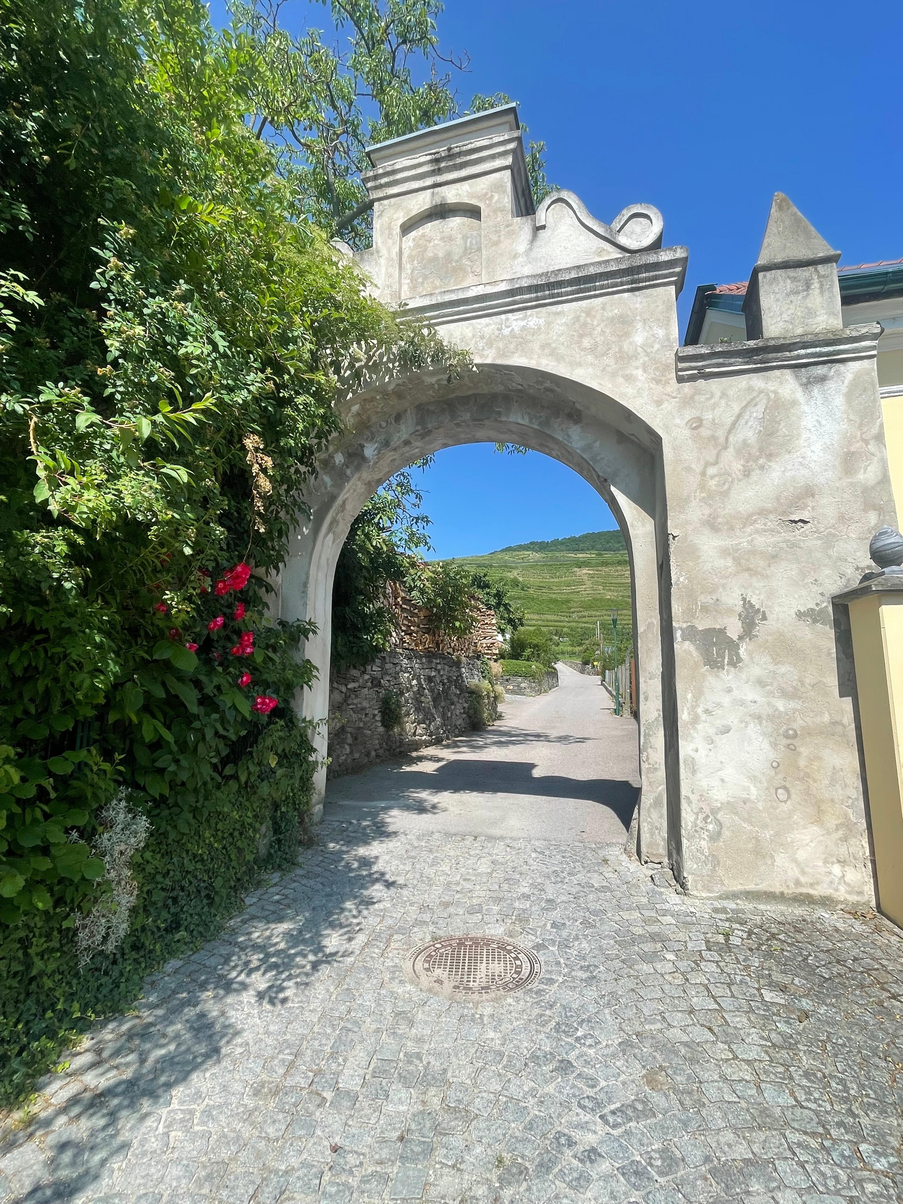 Sommer in der Wachau.