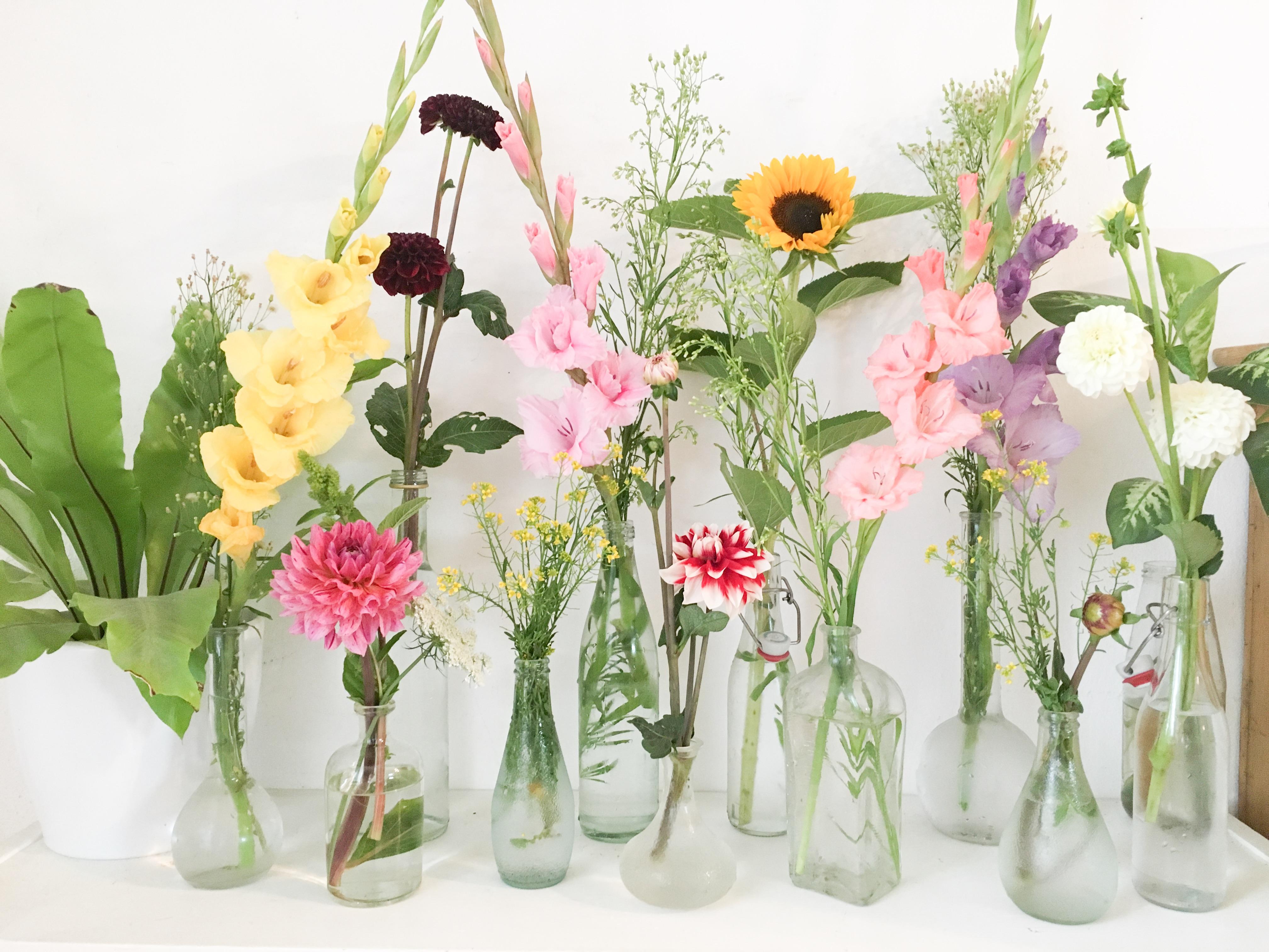 Sommerblumen 🌸🌺🌻 
#blumen #flowers #deko 