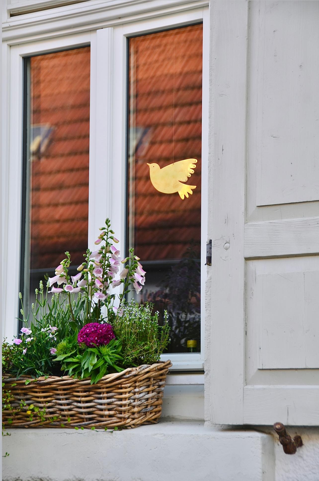 Sommerblumen 💛 #sommerblumen #sommer #alteshaus #altbauliebe #skandinavischwohnen #fensterläden #messingvogel #messing #sommertage #klappläden #blumenkasten 