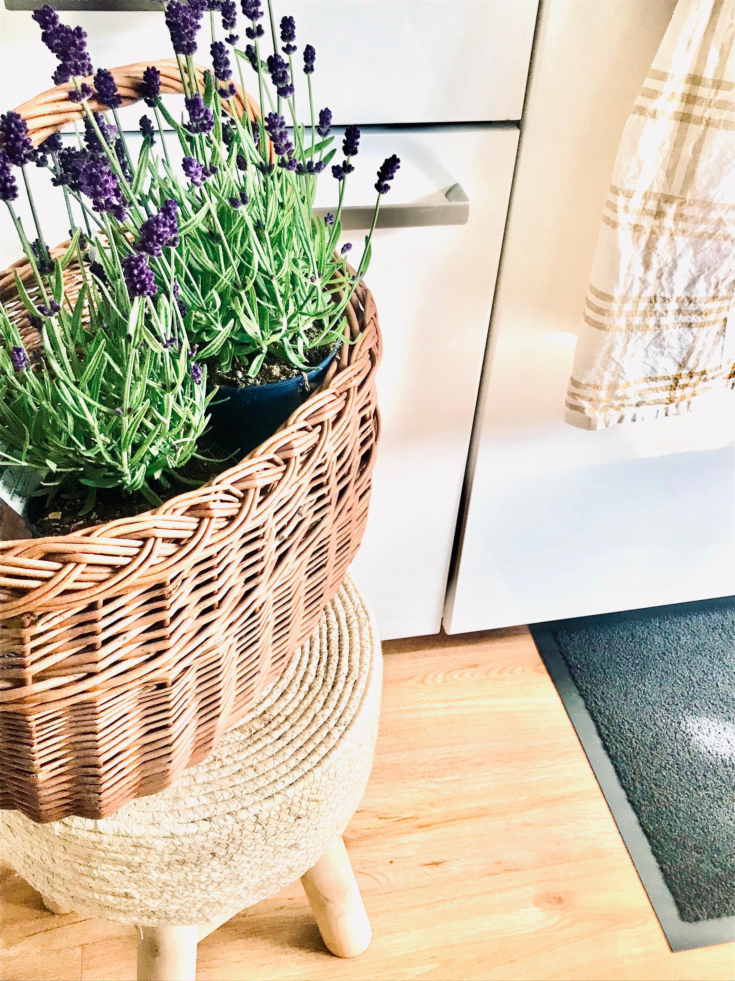 Sommerduft in der Küche 💜

#küche #home #sommer #lavendel #korb #hocker #fresh #rattan #teppich 