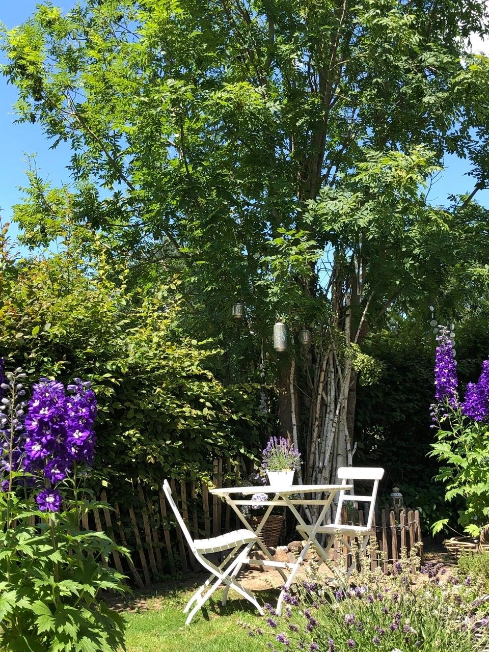 #Sommerfreuden - Sonne satt und blauer Himmel 
#gartenliebe #rittersporn #lavendel #sitzecke #laternen #gartenglück 