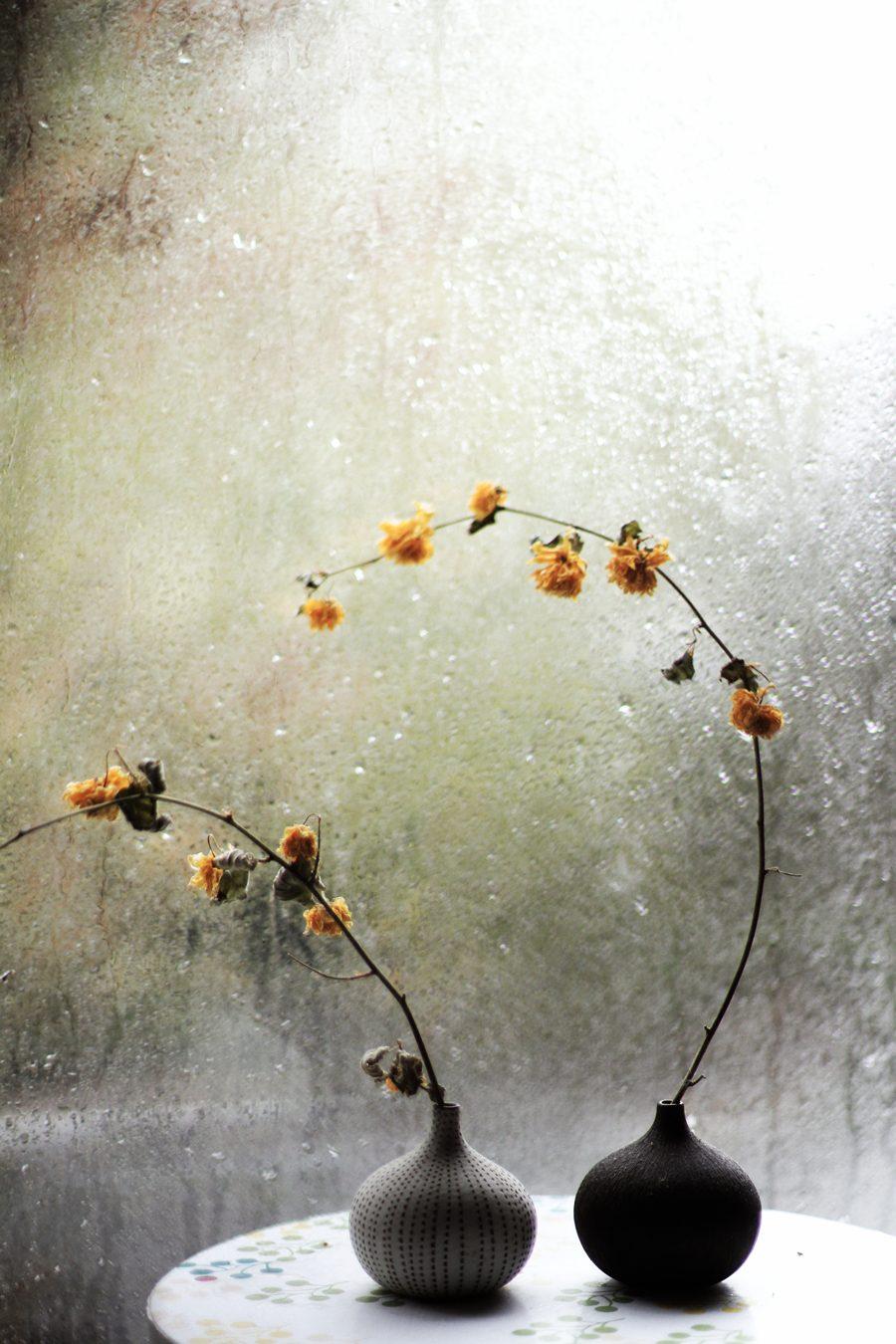 sommerregen • 
#blumen#vase#deko#licht#couchliebt#stillleben#regen
