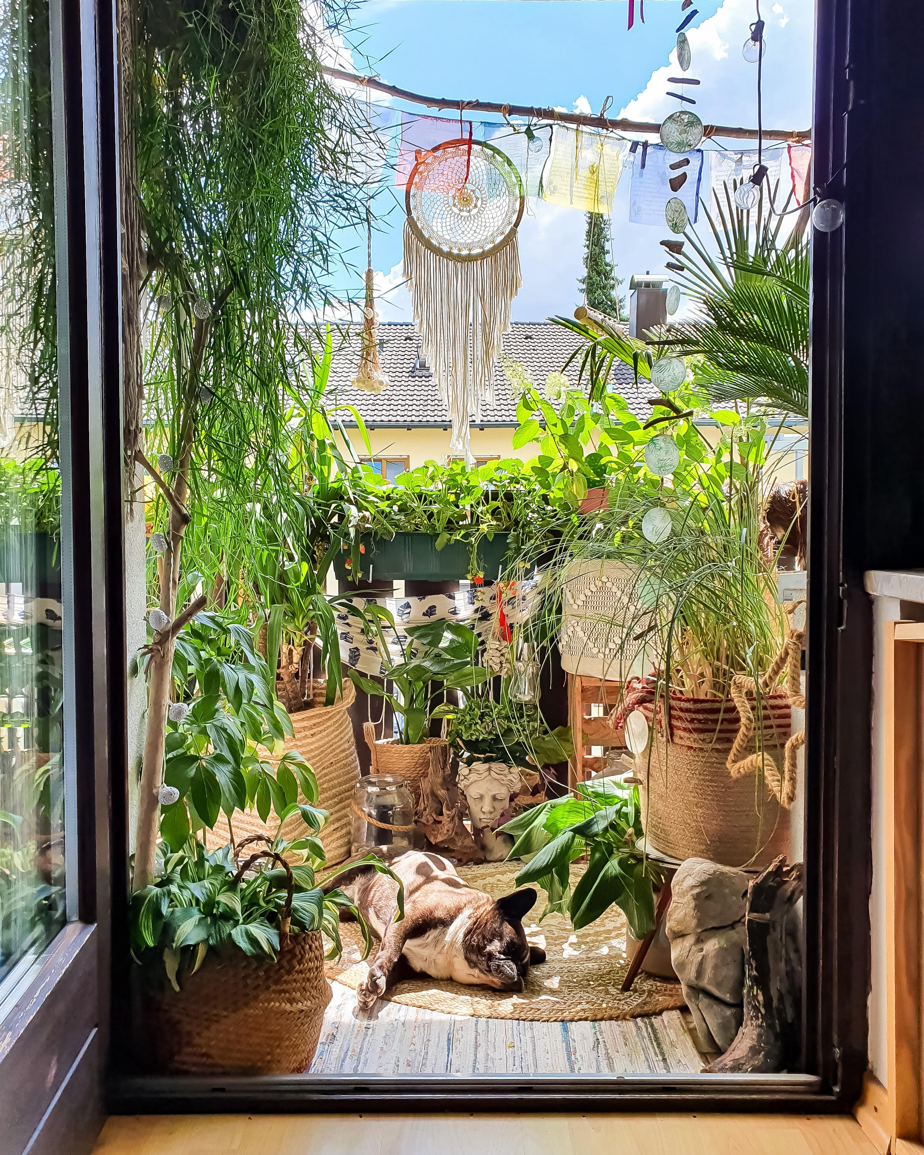 Sommersonnentag #Balkon #Pflanzen #Traumfänger #hippie #boho #Terrasse #Lounge #Ausblick 