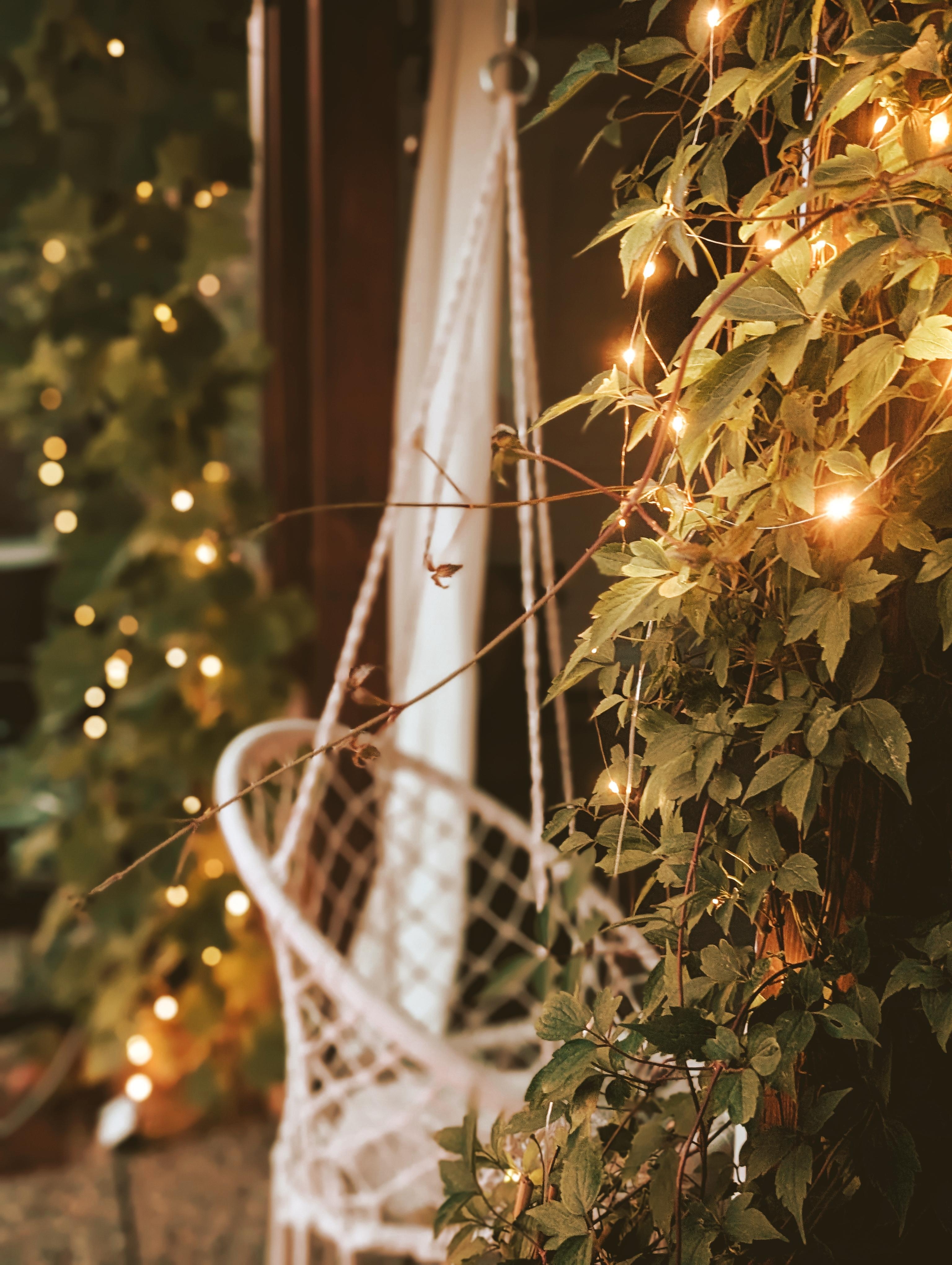 Sommertage 🤍
Bei uns war in letzter Zeit so einiges los! Am Haus waren wir super fleißig! Und jetzt genießen wir die Sommerferien #outdoor #chillen #relax #lights