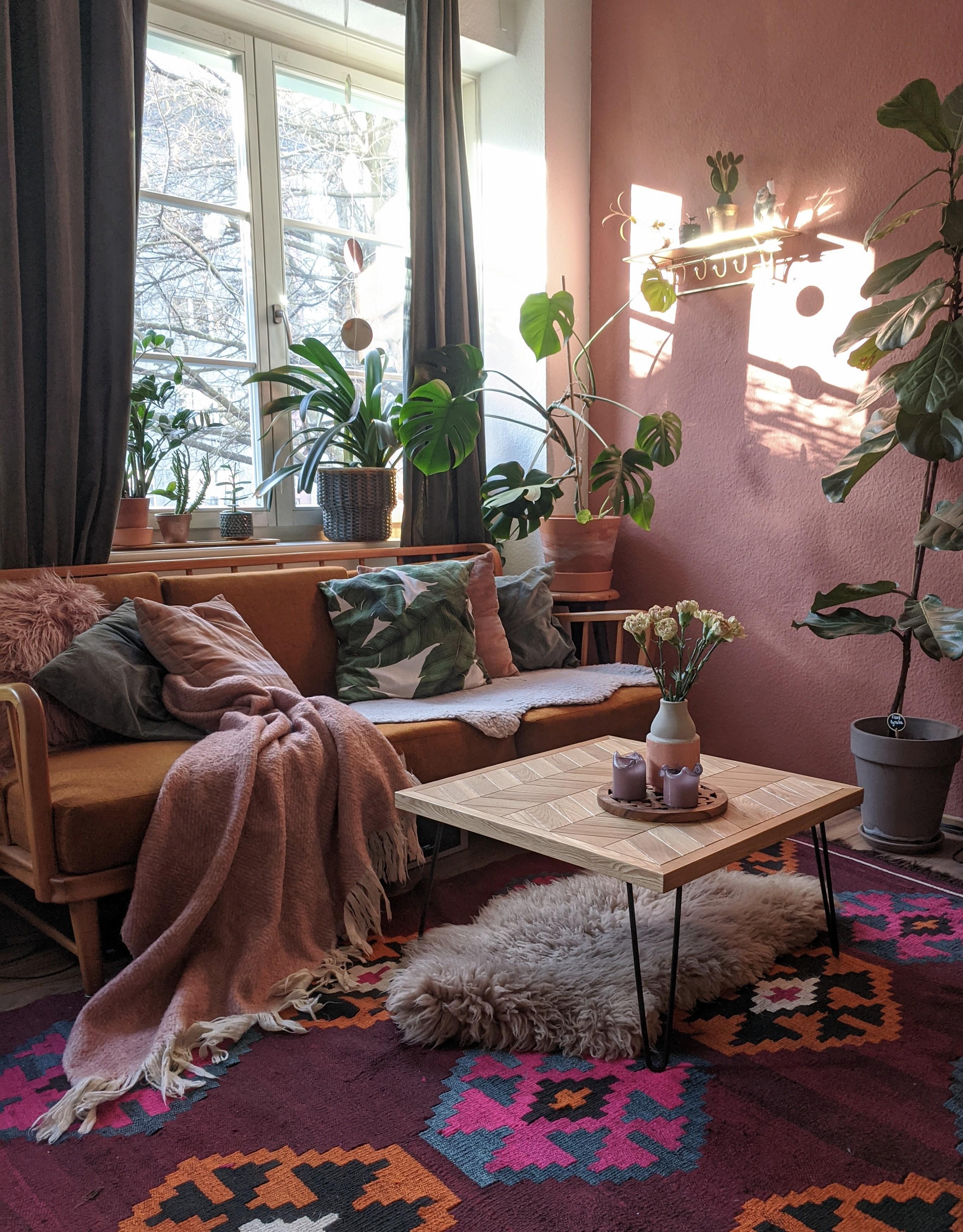 Sonne 🌞 #wohnzimmer #couch #pflanzenliebe #boho #cozy #monstera #wandfarbe #teppich