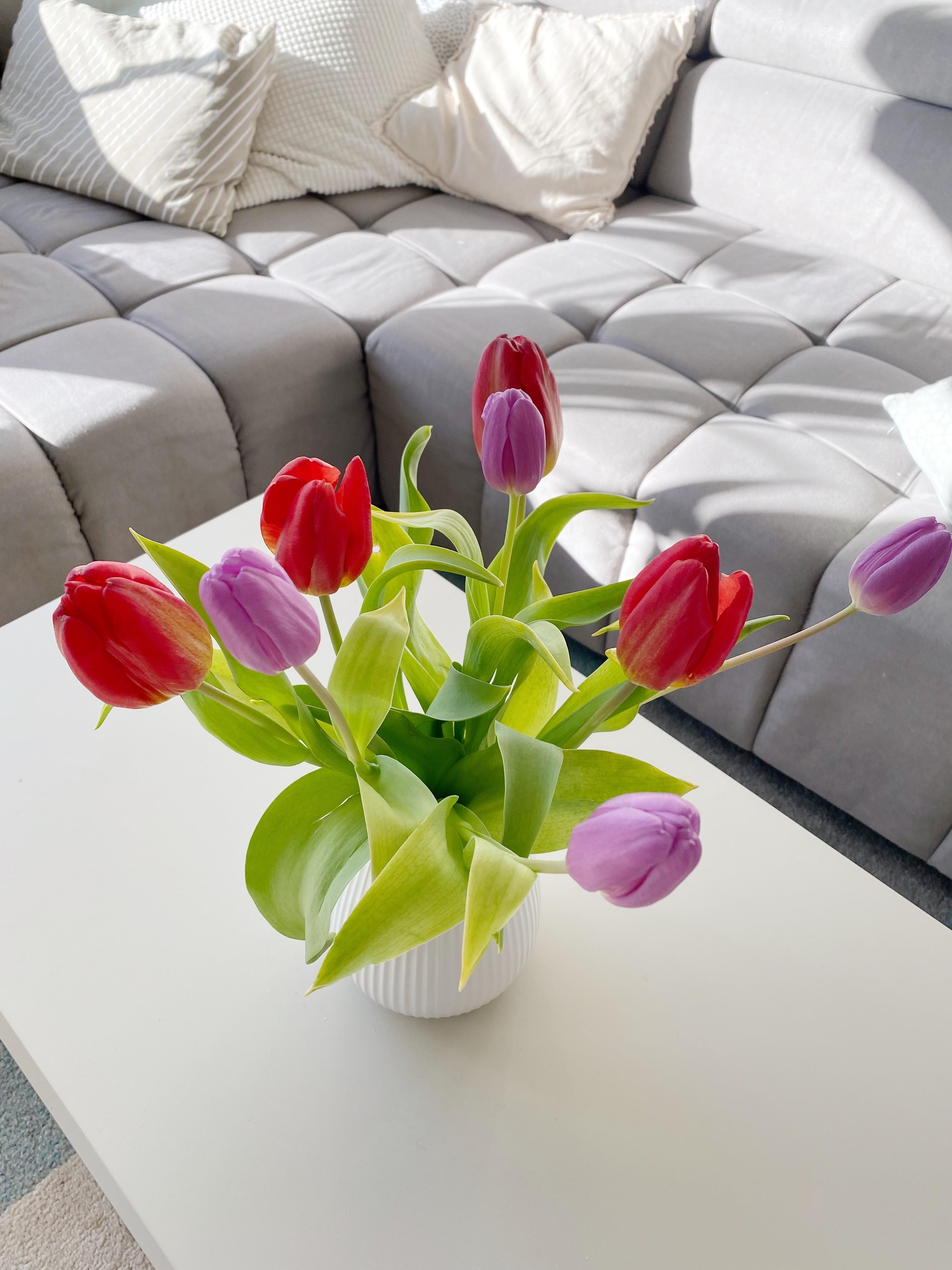 Sonne, Frühlingsluft und Tulpen von Oma 🌷 #frühling #tulpen #freshflowers #wohnzimmer #couchtisch #tischdeko #tabledecor