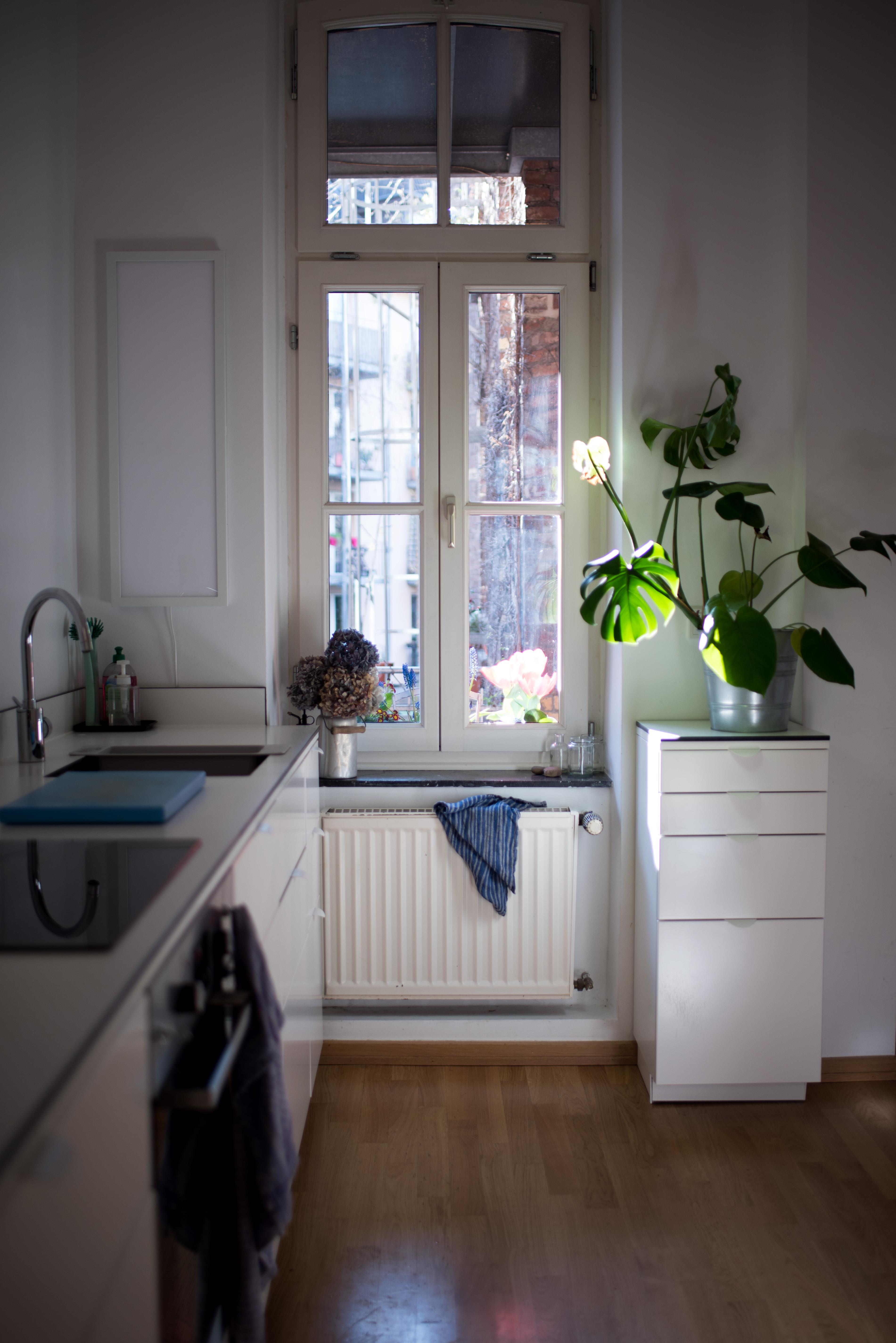 Sonne in der Küche! #küche #wohnküche #altbau #kitcheninspo