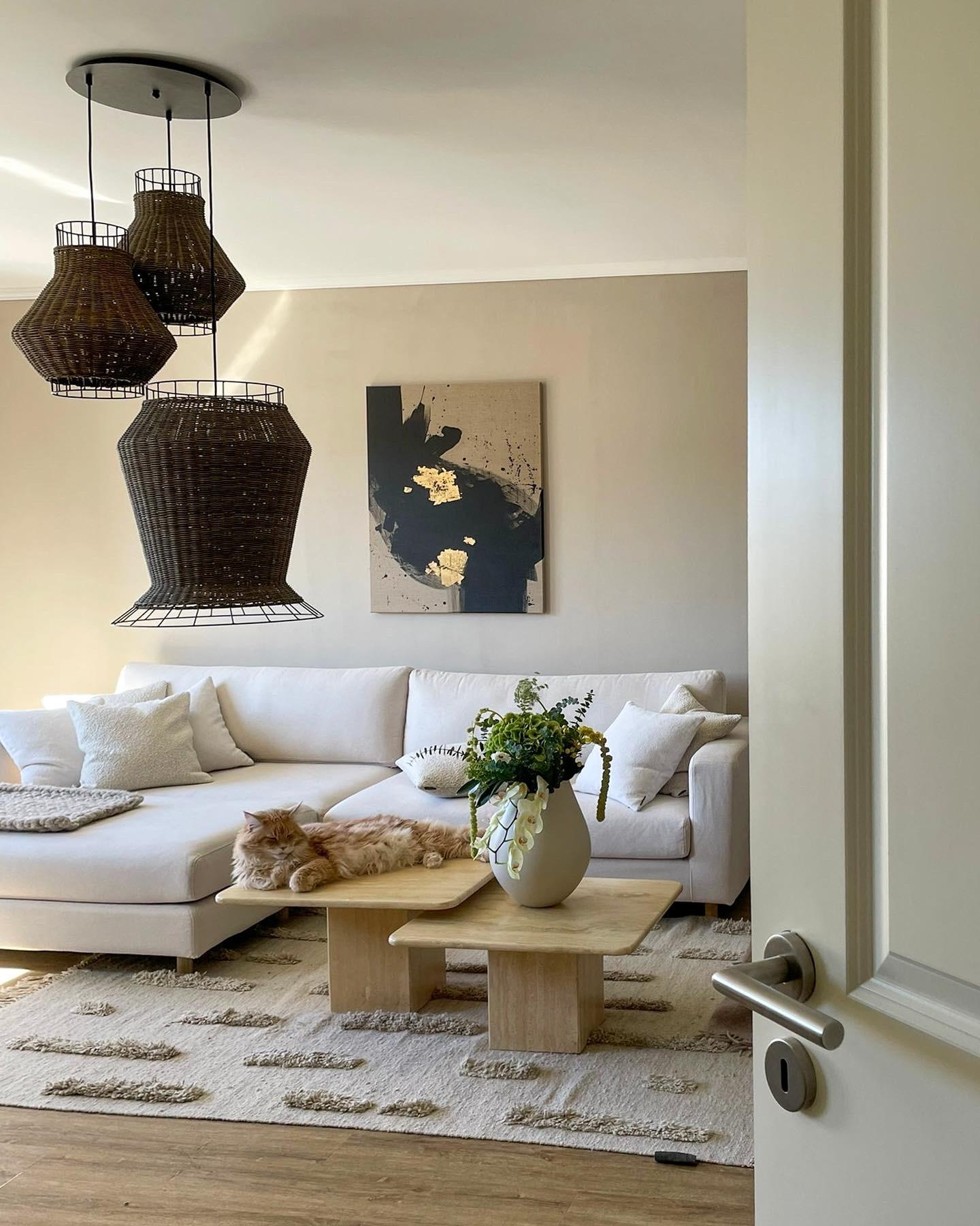 sonne, katzi und blumis - was will an mehr 🥰 #blumen #interior #couchstyle #skandi