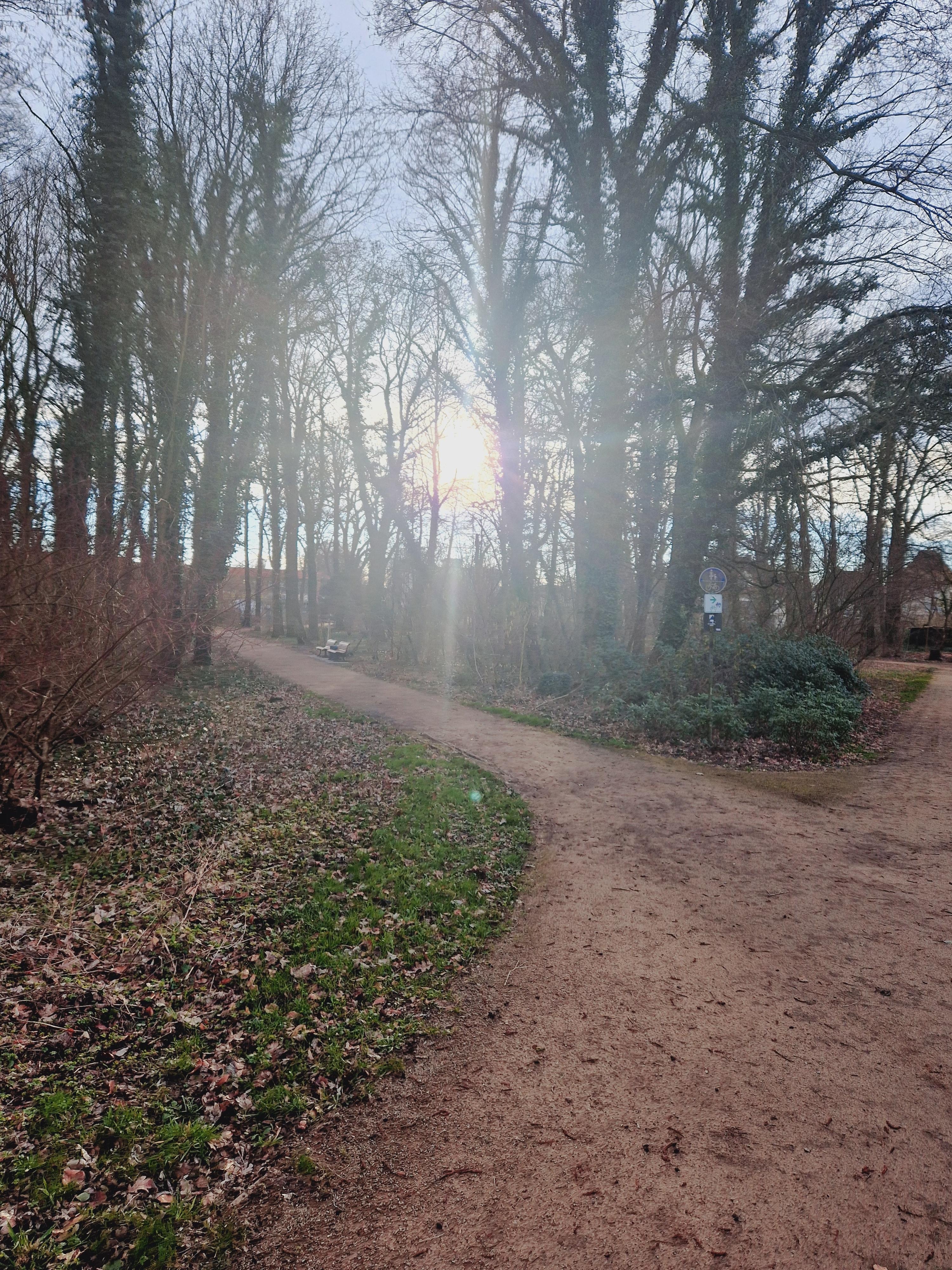 #Sonne #Spaziergang #Erholung #Berlin #Natur 