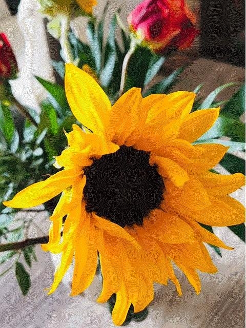 Sonnenblume aus dem Garten #frischblumen immer wieder schön :)