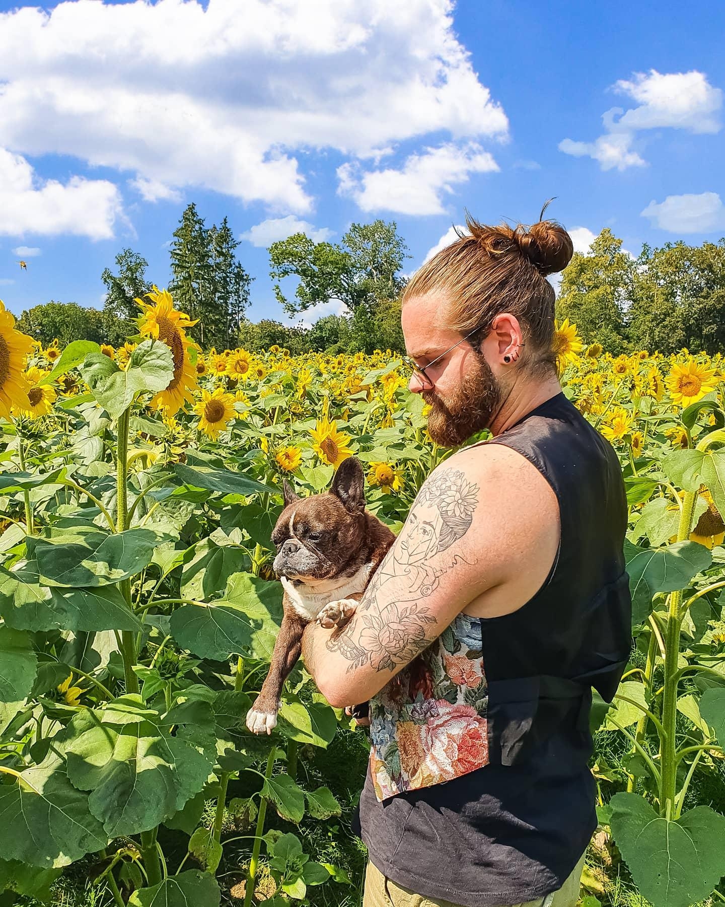 Sonnenblumen Sonntag 