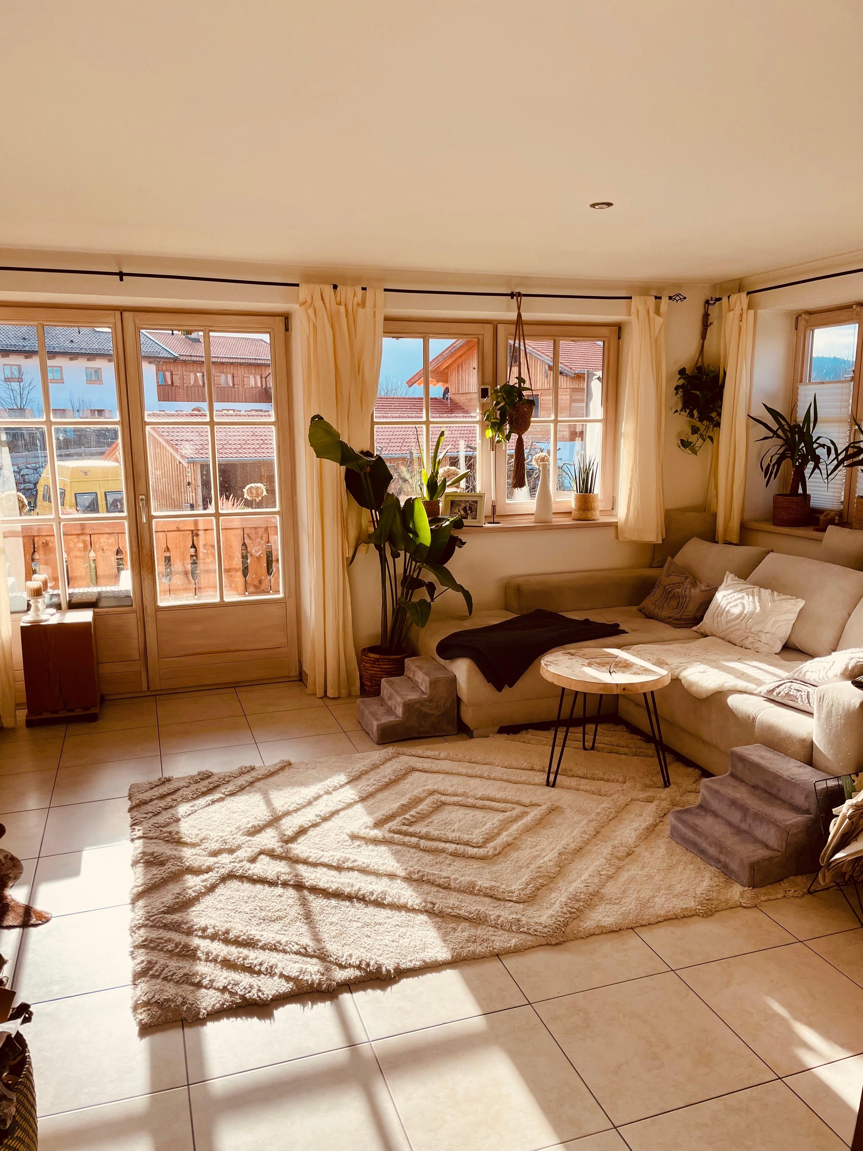 Sonnenlicht im Wohnzimmer. #couchliebe #Wohnzimmer #interior #couchmagazin #sunlightdecor #teppich #plants #indoorjungle 