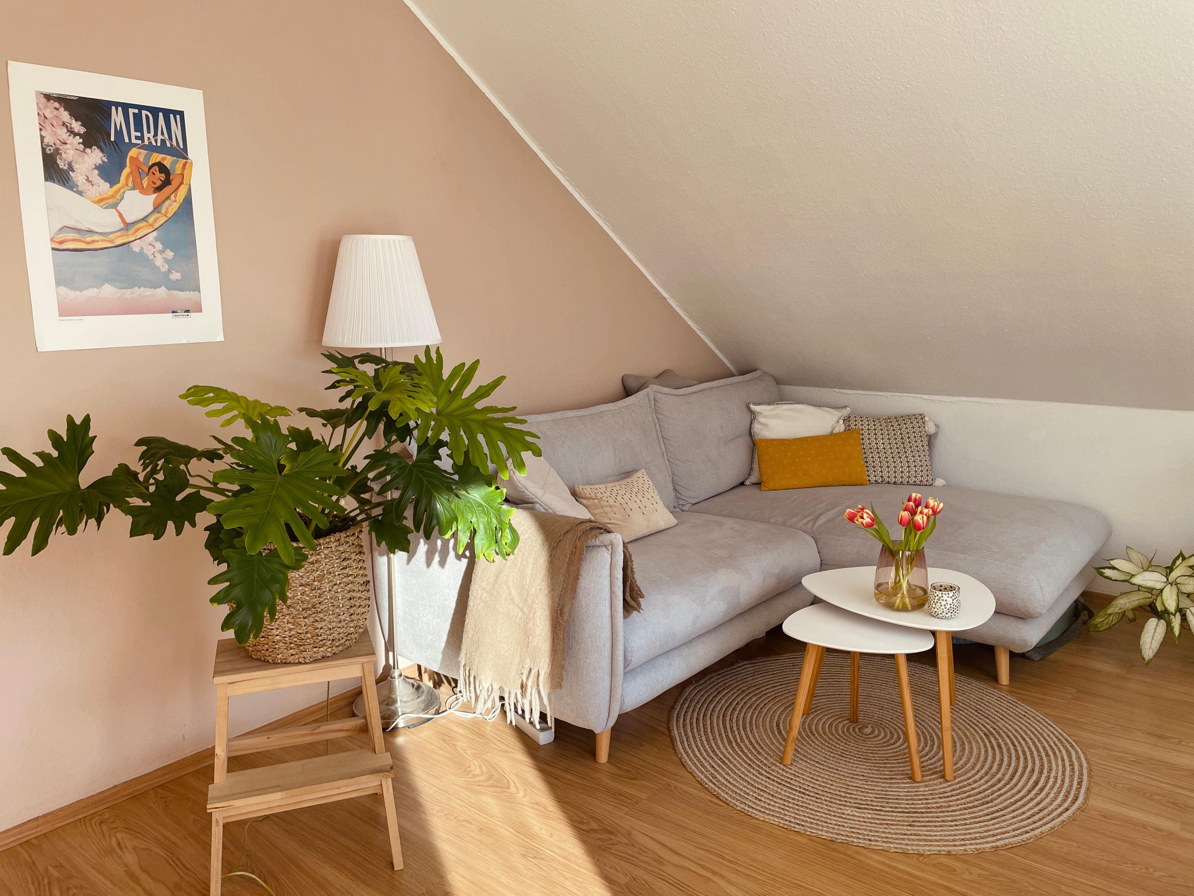 Sonnenliebe 🌞 #Wohnzimmer #Couch #Pflanzenliebe #Dachschräge