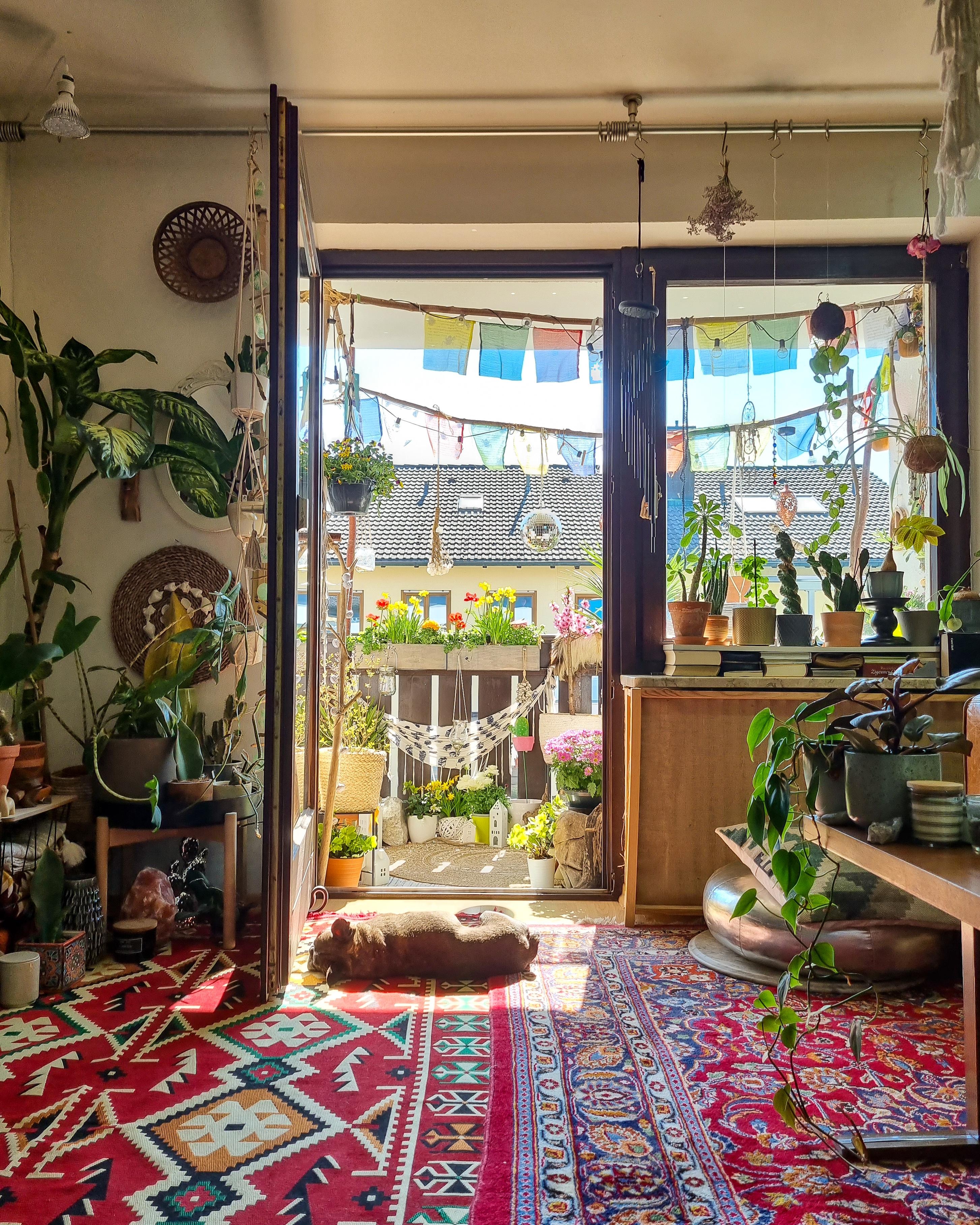 Sonnenmittwoch ☀️🪴✌🏼 #Wohnzimmer #Balkon #Tür #Pflanzen #urbanjungle #Teppich #boho #hippie #maximalist