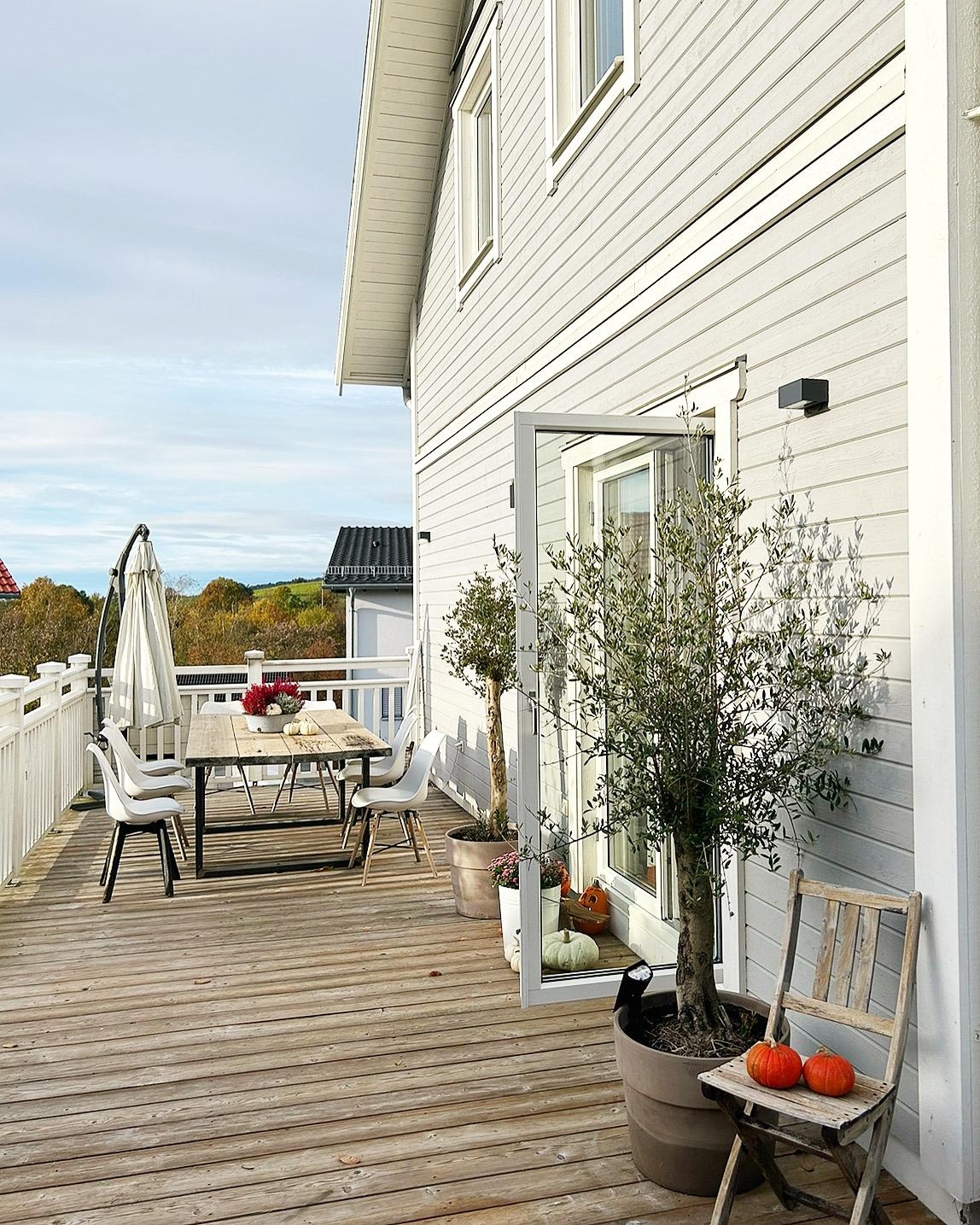 Sonnenmomente... #herbsttage #schwedenhaus #holzhaus #herbstdeko #skandinavisch #terrasse #kürbis #olivenbaum #hyggelig 