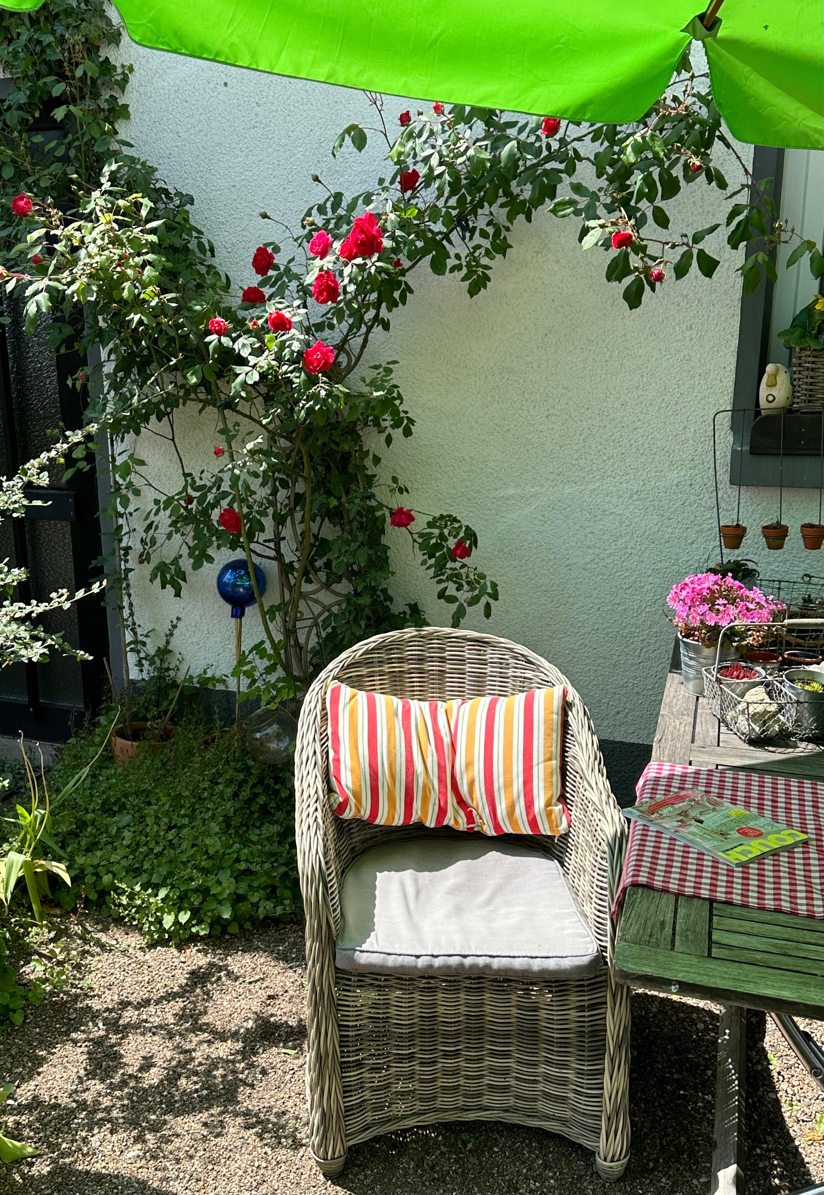 Sonnenplätzchen unter Rosen. So lässt es sich aushalten 😎.
#Garten #Rosen