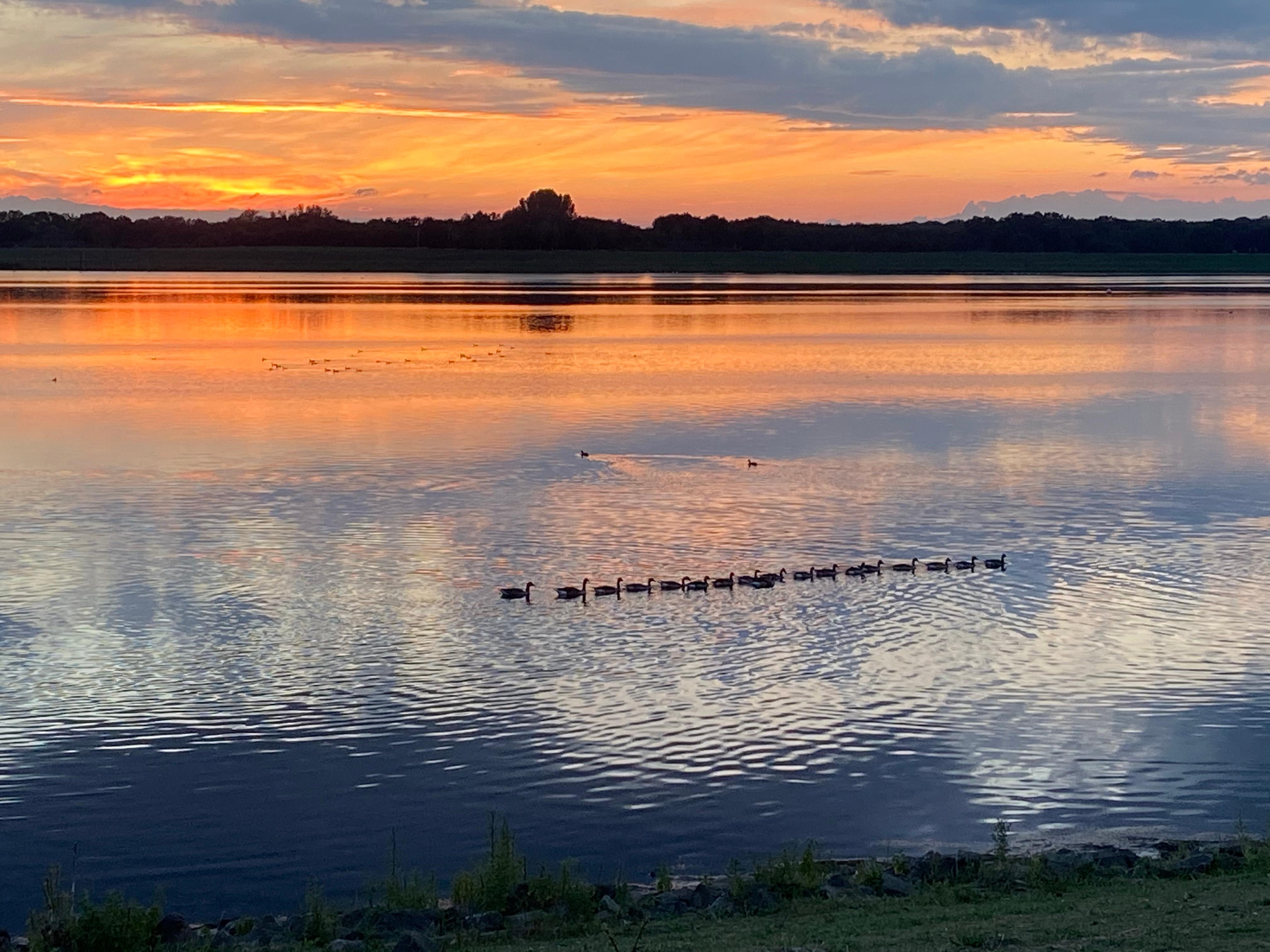 Sonnenuntergang am See mit der Entenfamilie 
