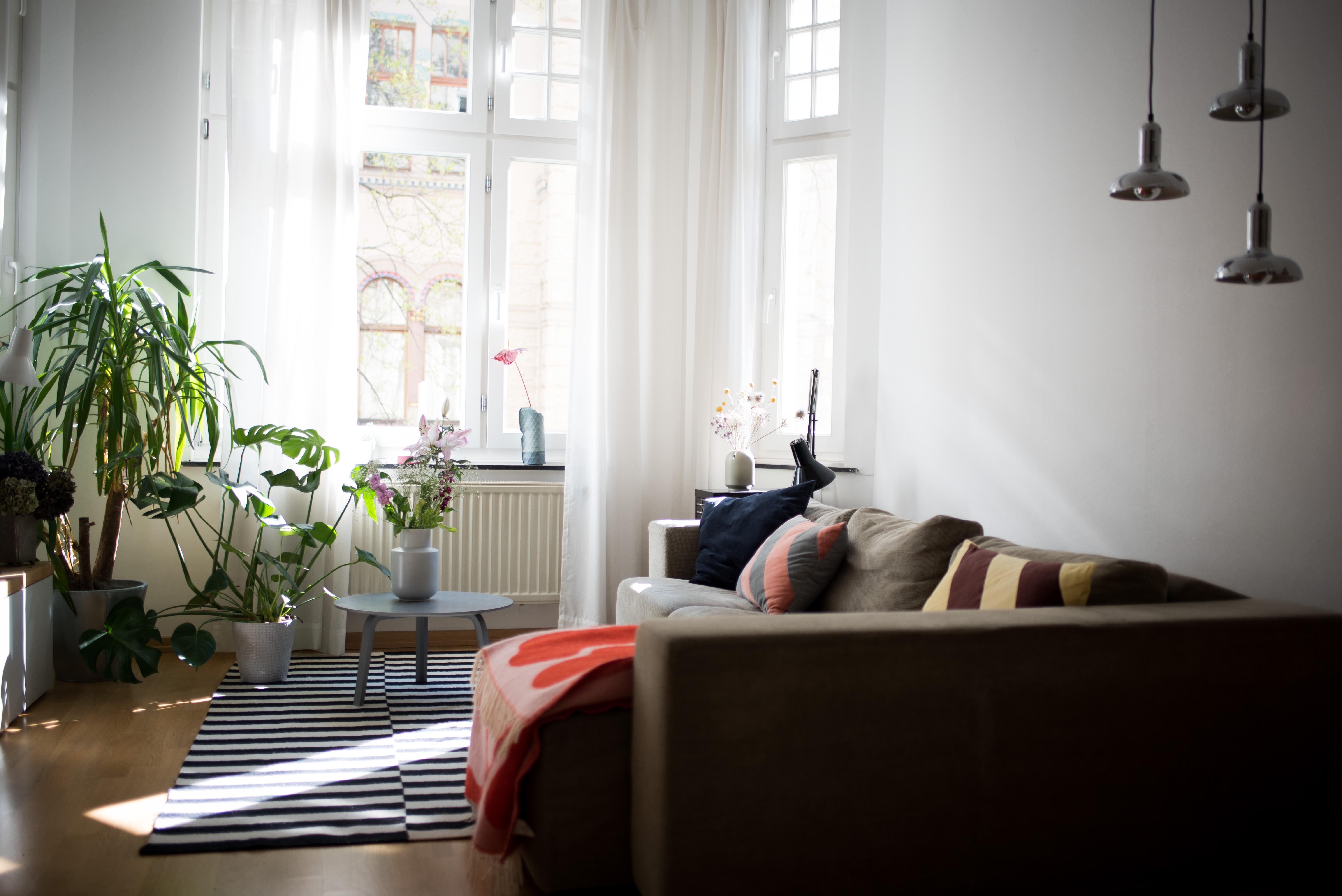 Sonniger Morgen! #wohnzimmer #interiorinspo #cozyplace #sofa #Altbau