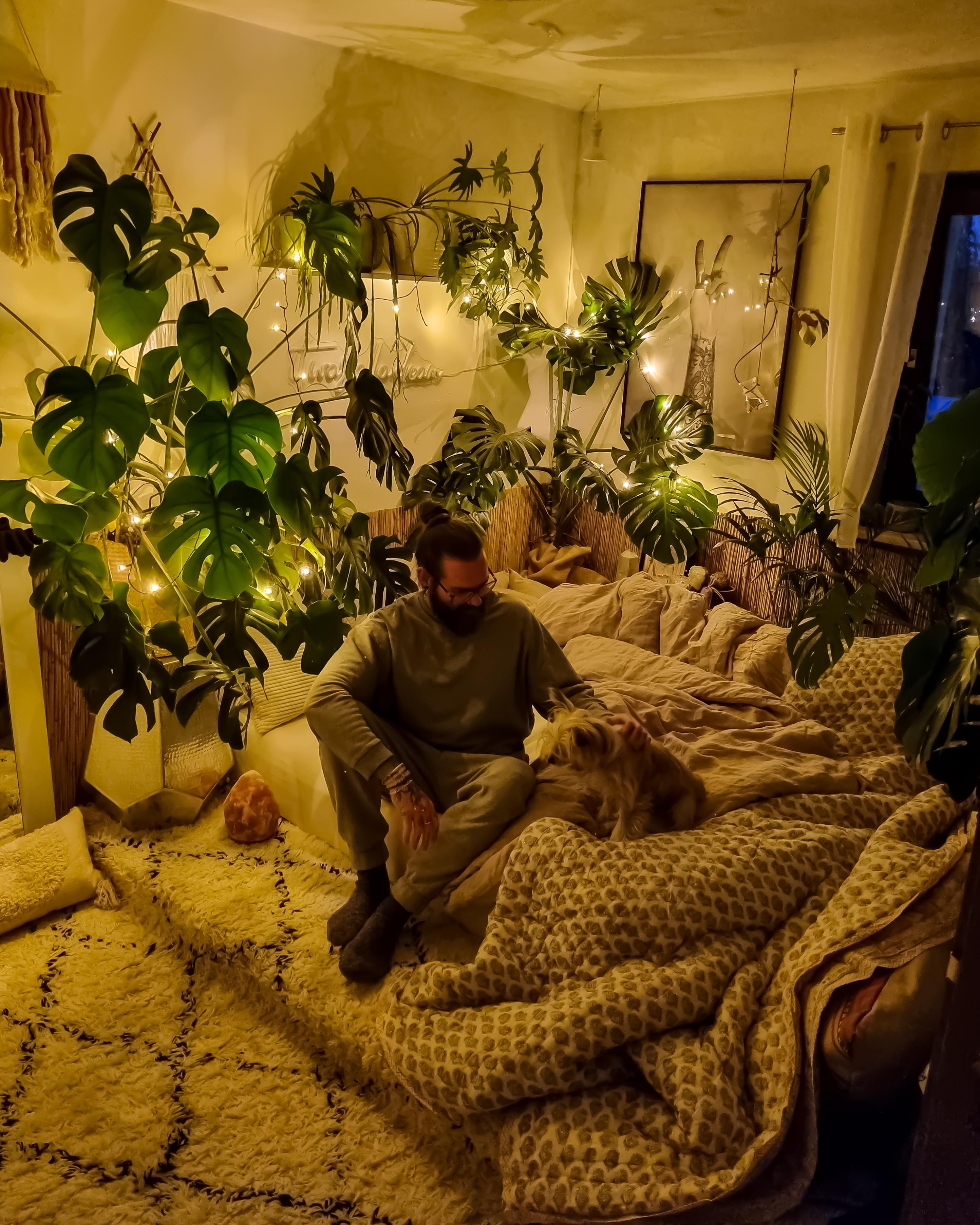 Sonntag ❤️ #Schlafzimmer #Bett #palettenbett #monstera #Pflanzen #Poster #Galerie #Bild #boho #hippie #hygge 