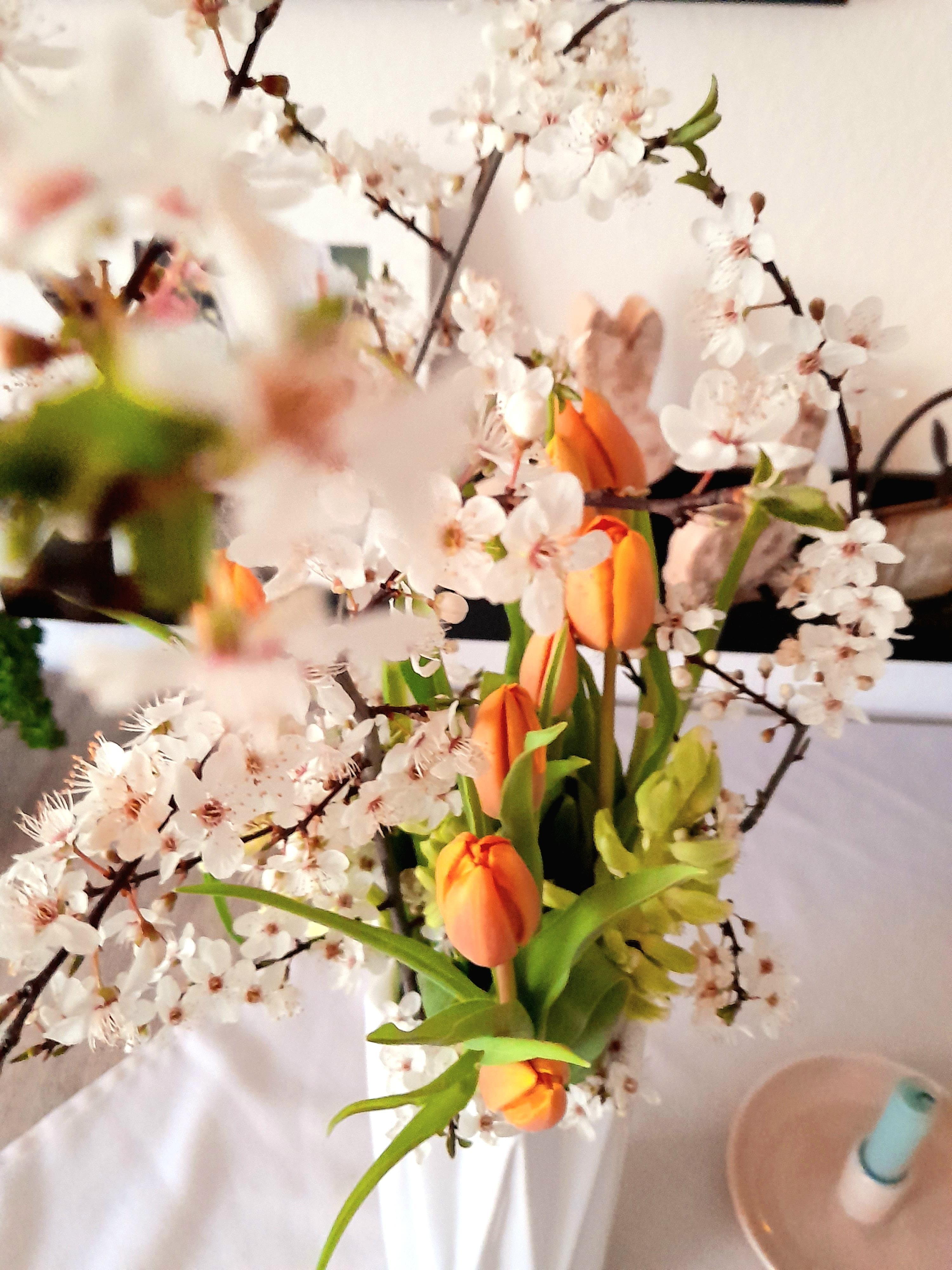 Sonntag Frühling in der Vase 🧡
#flower #blüte #vase #spring #küchentisch #zweig #tischdecke #kerze 