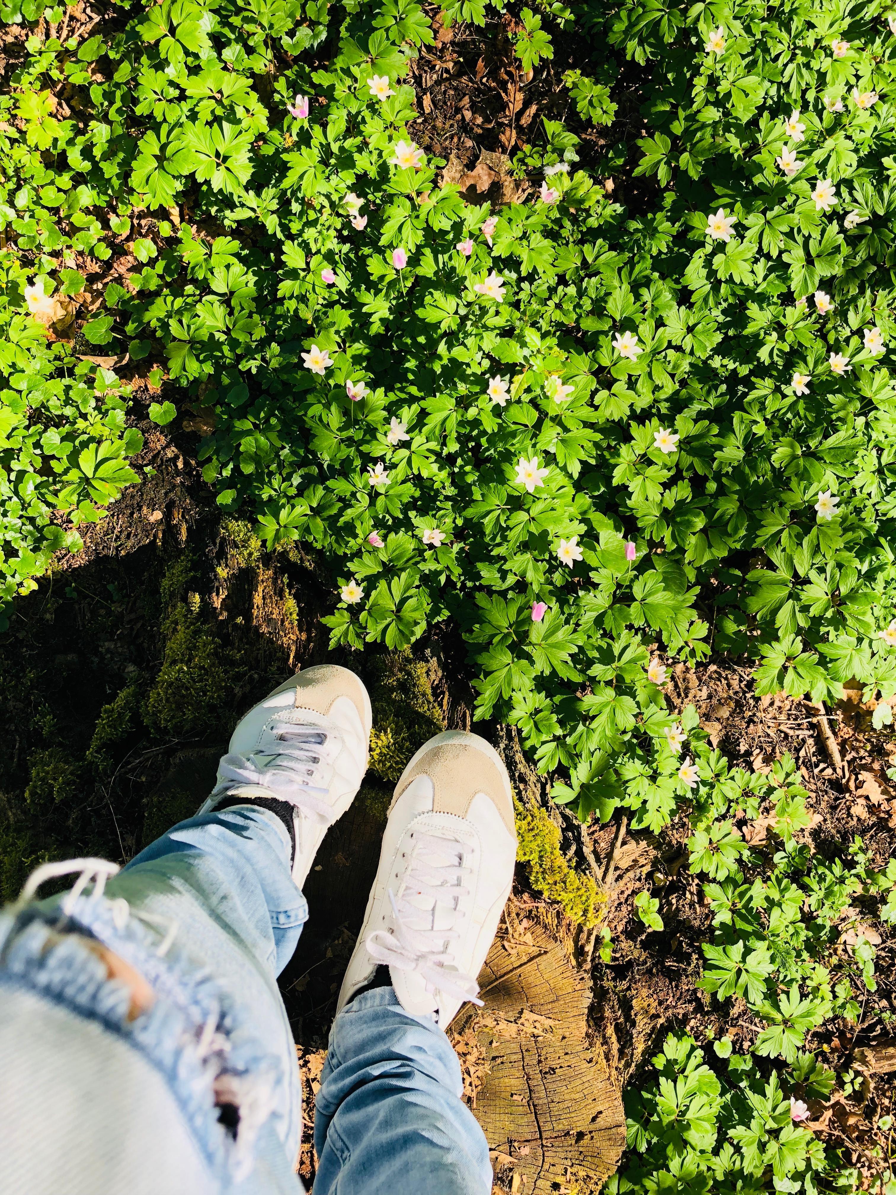 Spaziergang durch den Wald. Frage mich wie lange die #sneaker #weiß bleiben... 🤔 #onitsukatiger #fashion #schuhe #trend