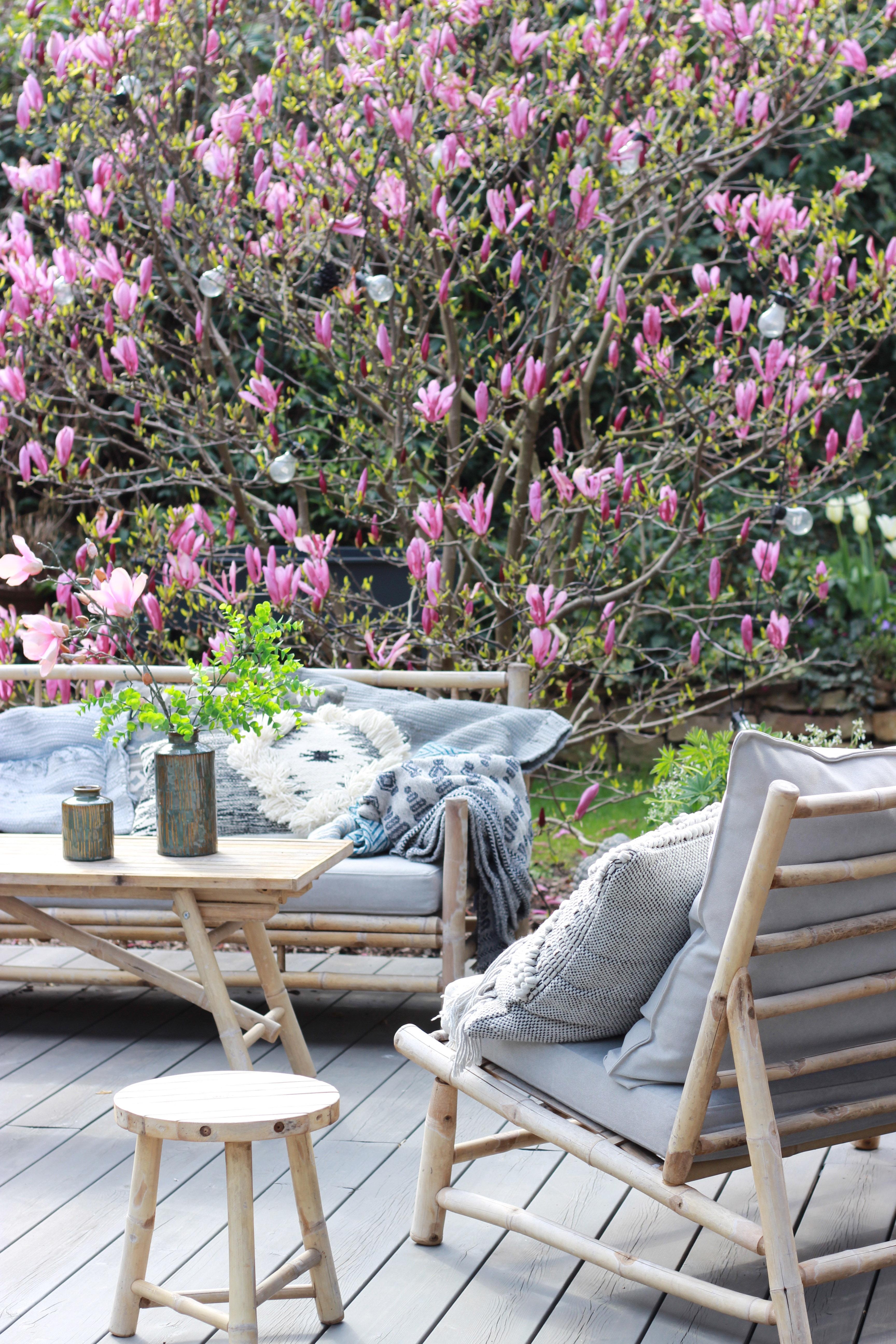 Spring 🌺🖤 #magnolie #terrasse #garten #frühling #spring #blüte #gartenzeit #outdoorliving #cozytime #gartengestaltung