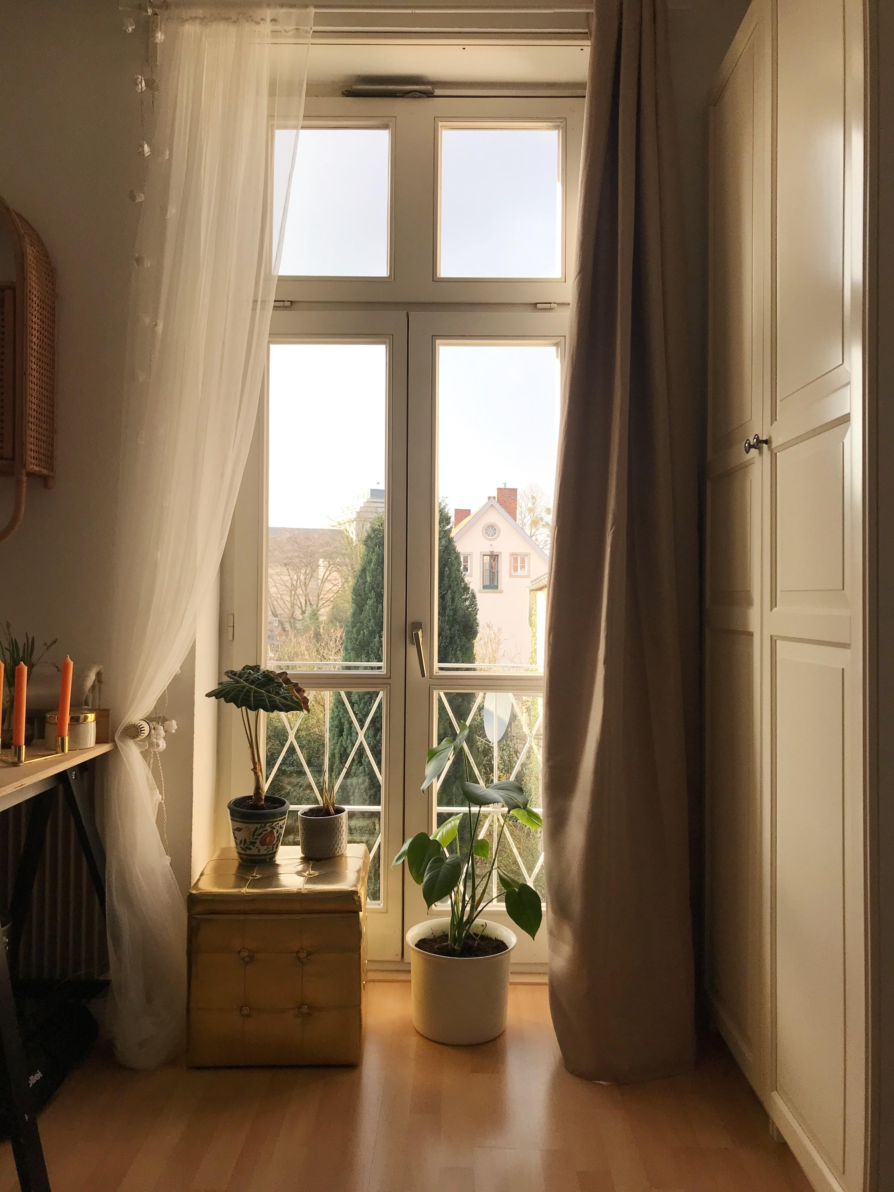 stay home 🧡
#home#coronope#couchmagazin#couchliebt#sunshine#garden#gold#interiordesign#interior#architecture#golden