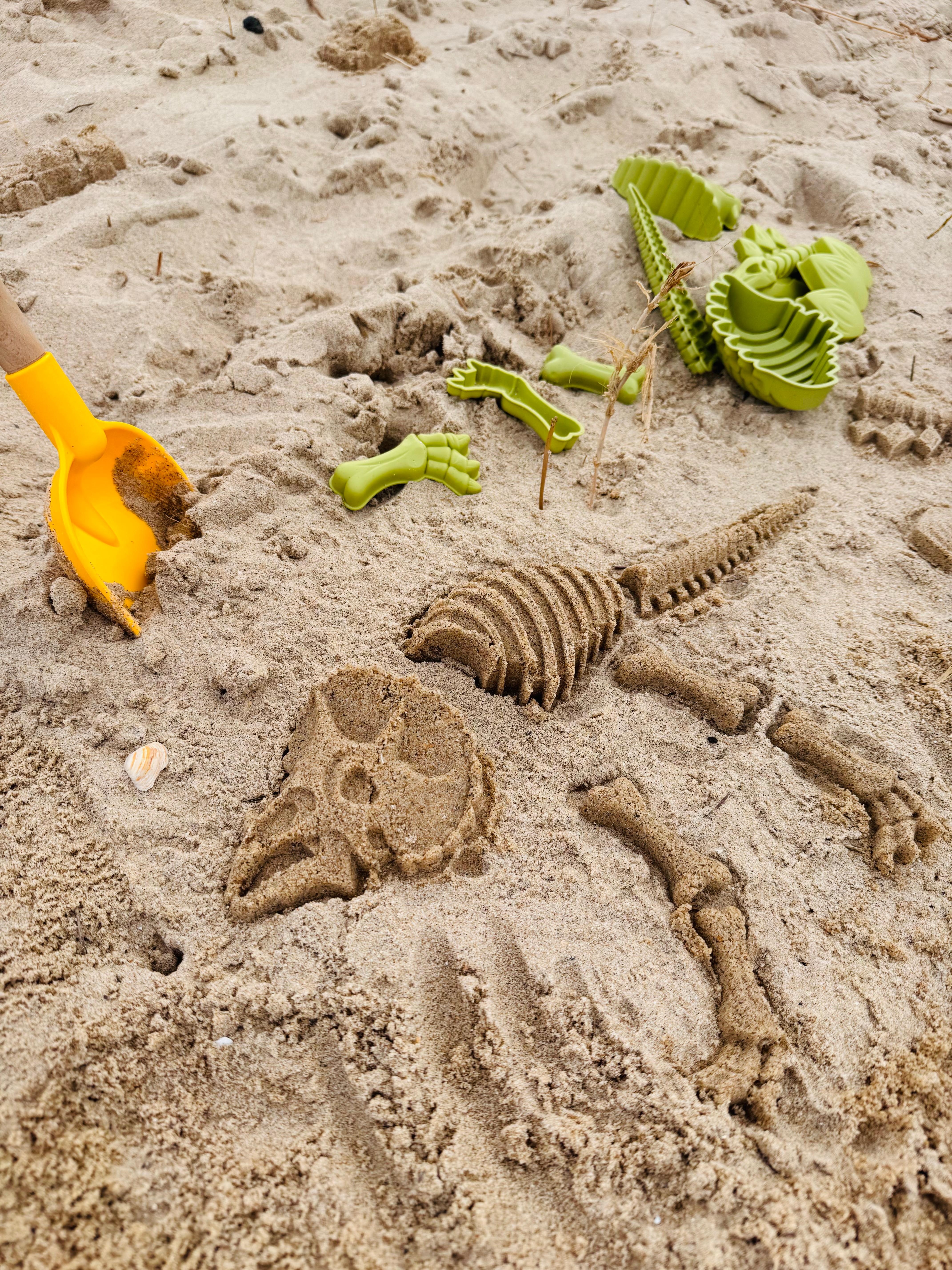 Strandfossilien. #zeeland #familytime