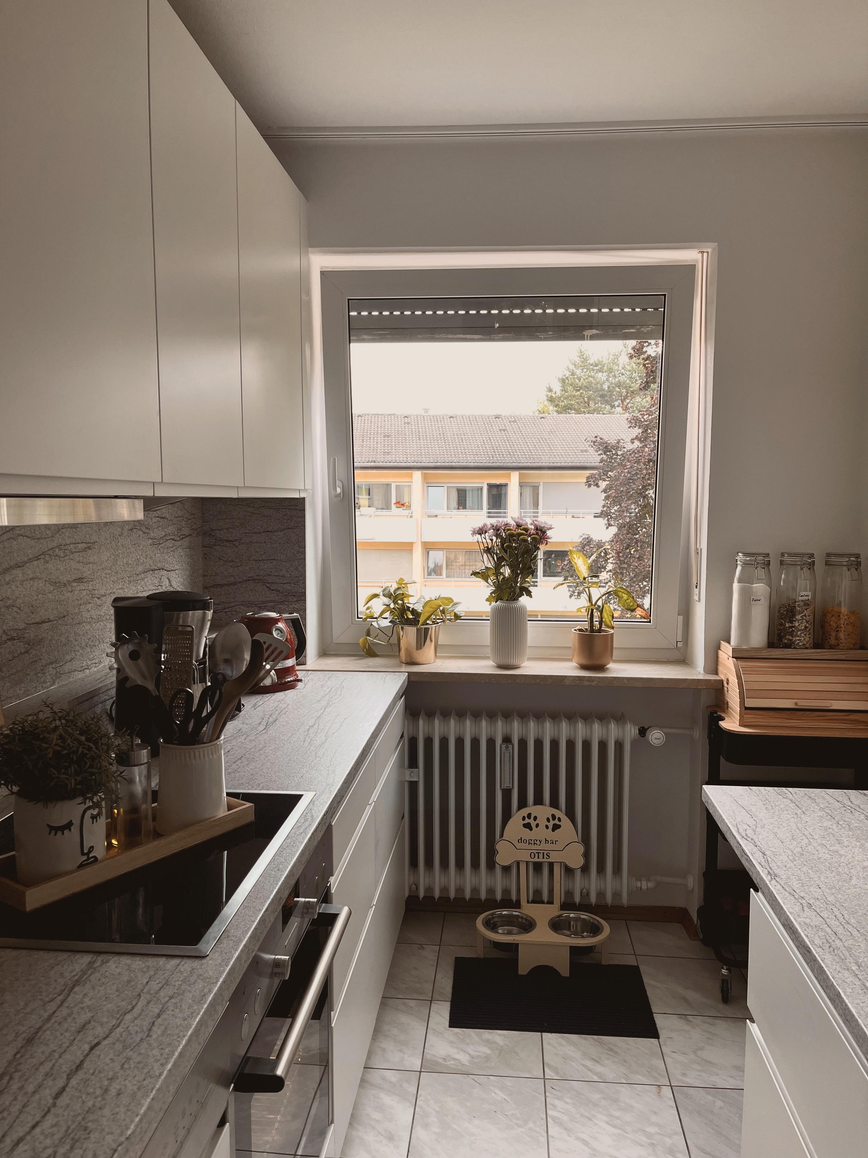 Stück für Stück aus einer Wohnung ein Zuhause machen...❤️ #kitchen #küche #münchen #interior #beige #white 