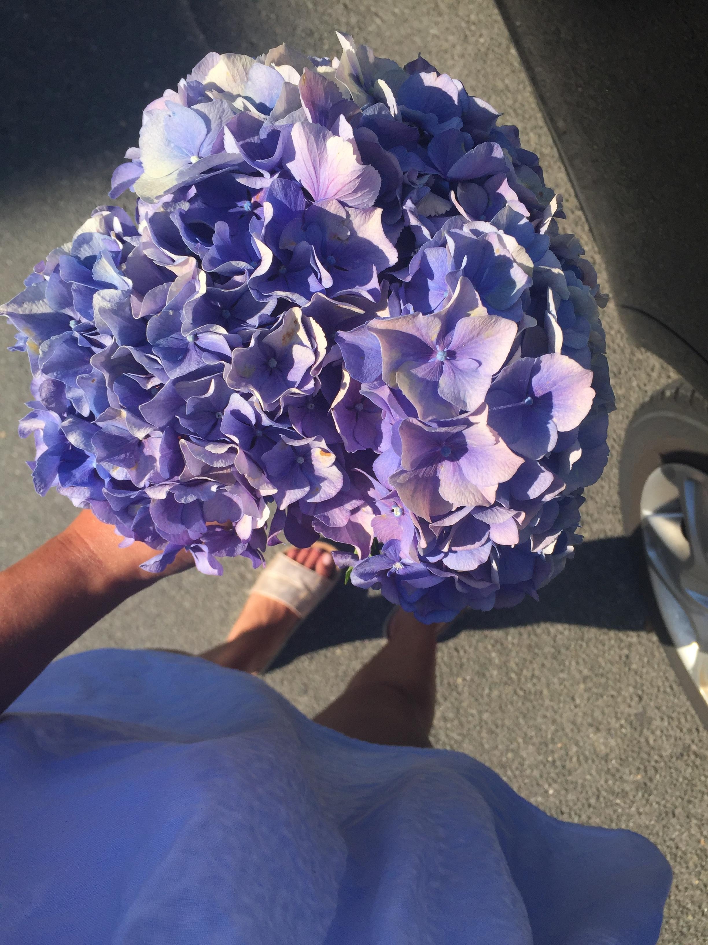 #summer #flowers #Blumen #love #blue #wedding #lieblingsblumen #sommergefühle 